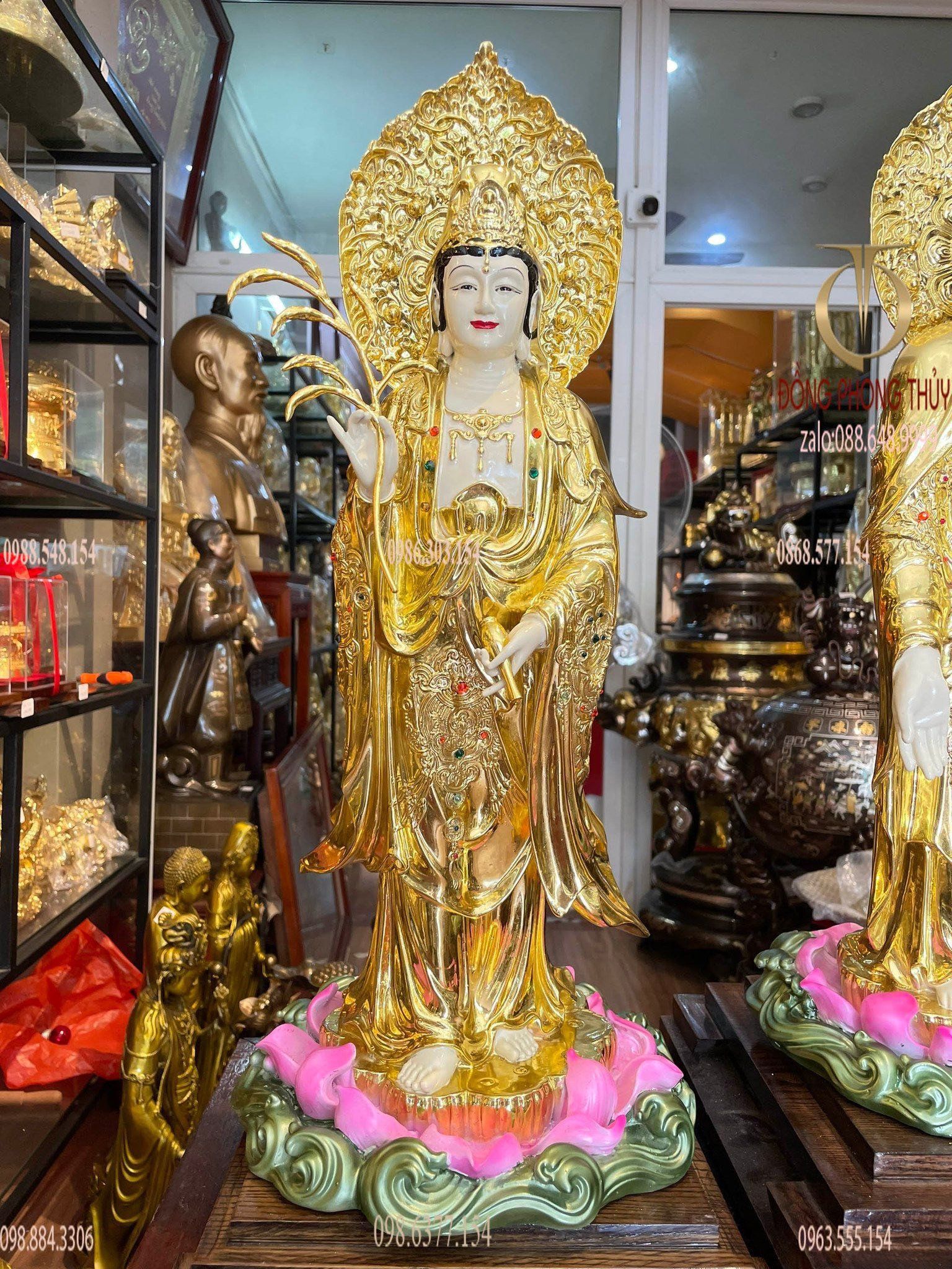 Hình ảnh sản phẩm