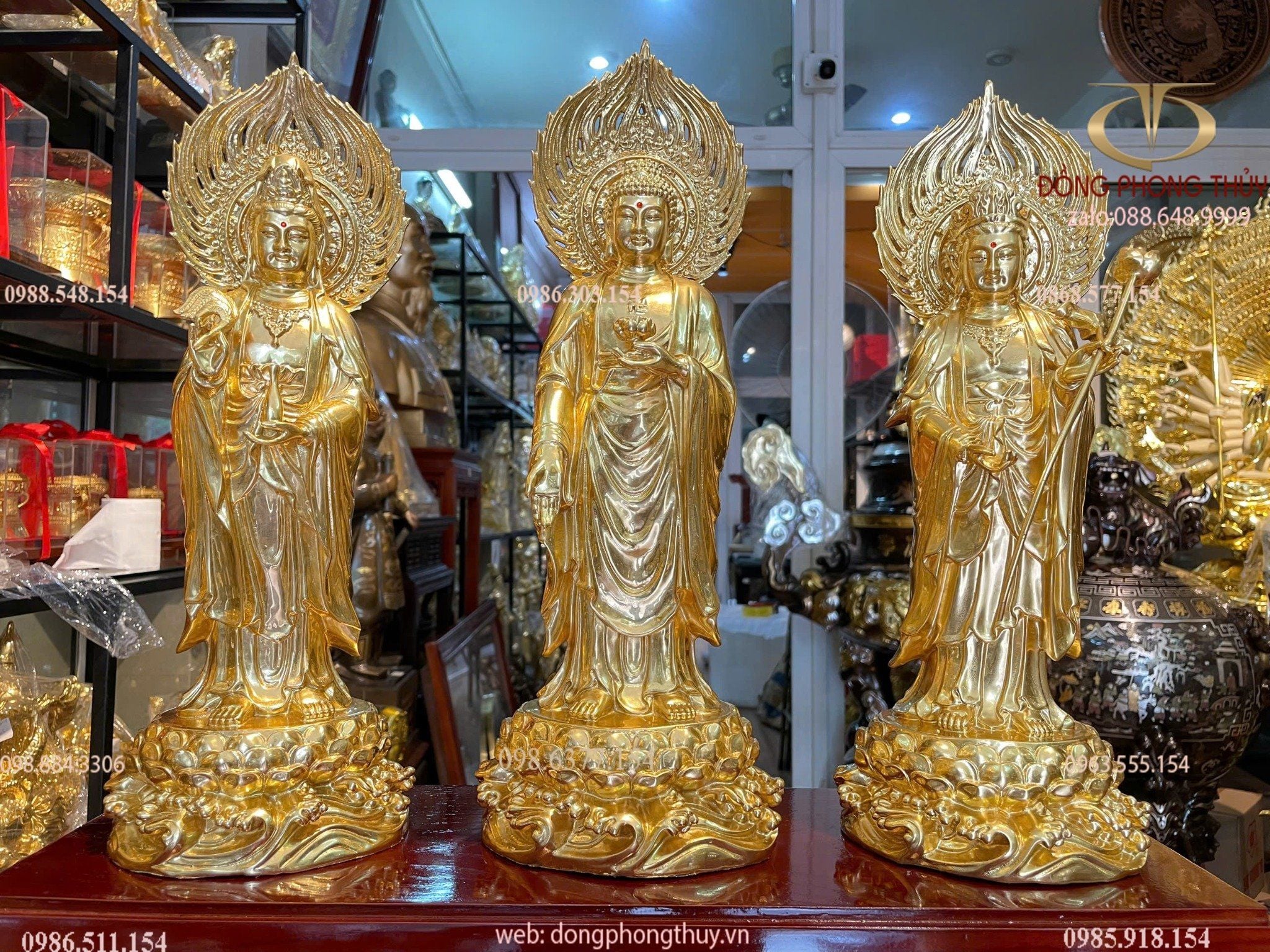 Hình ảnh sản phẩm