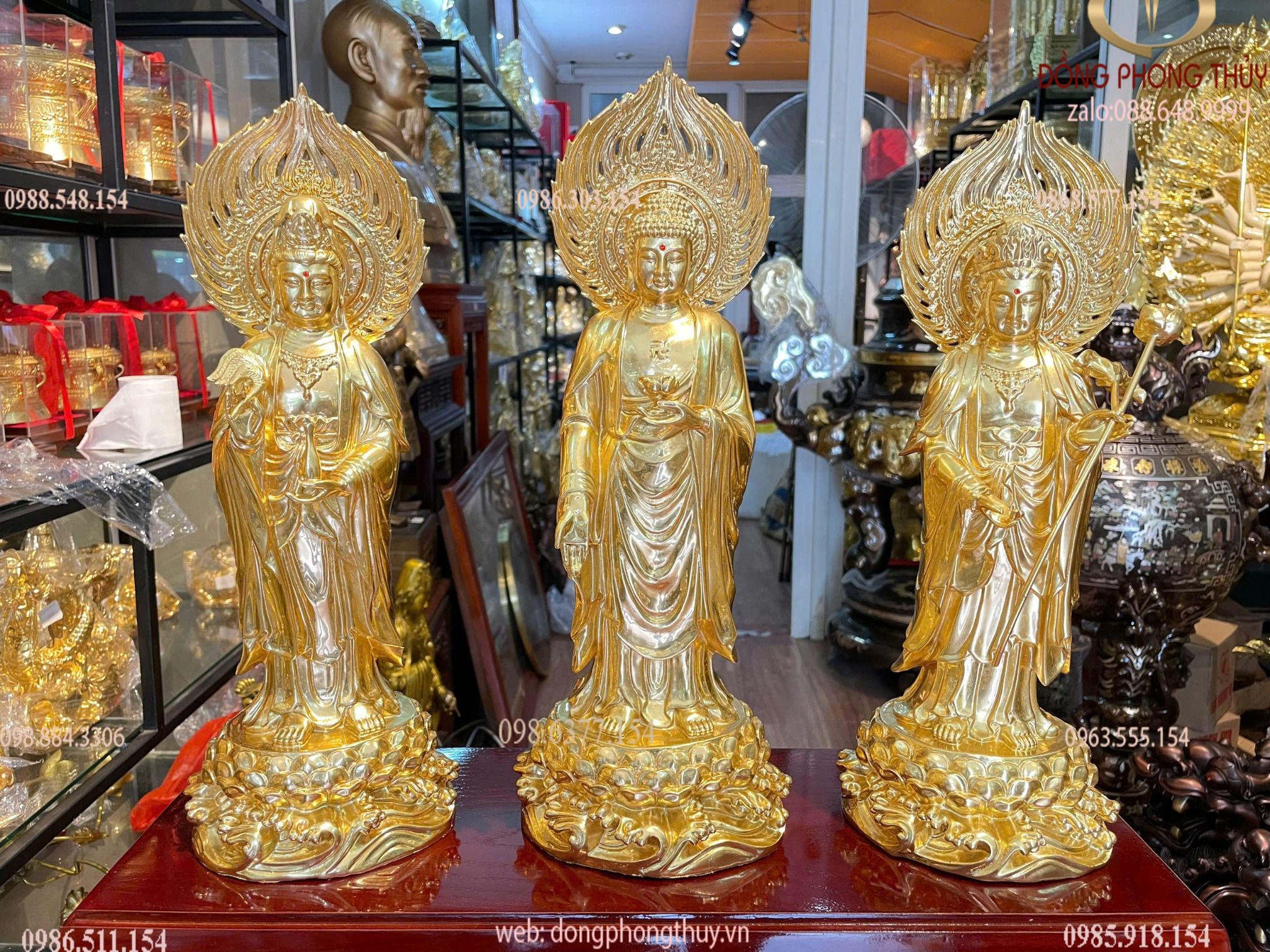 Hình ảnh sản phẩm