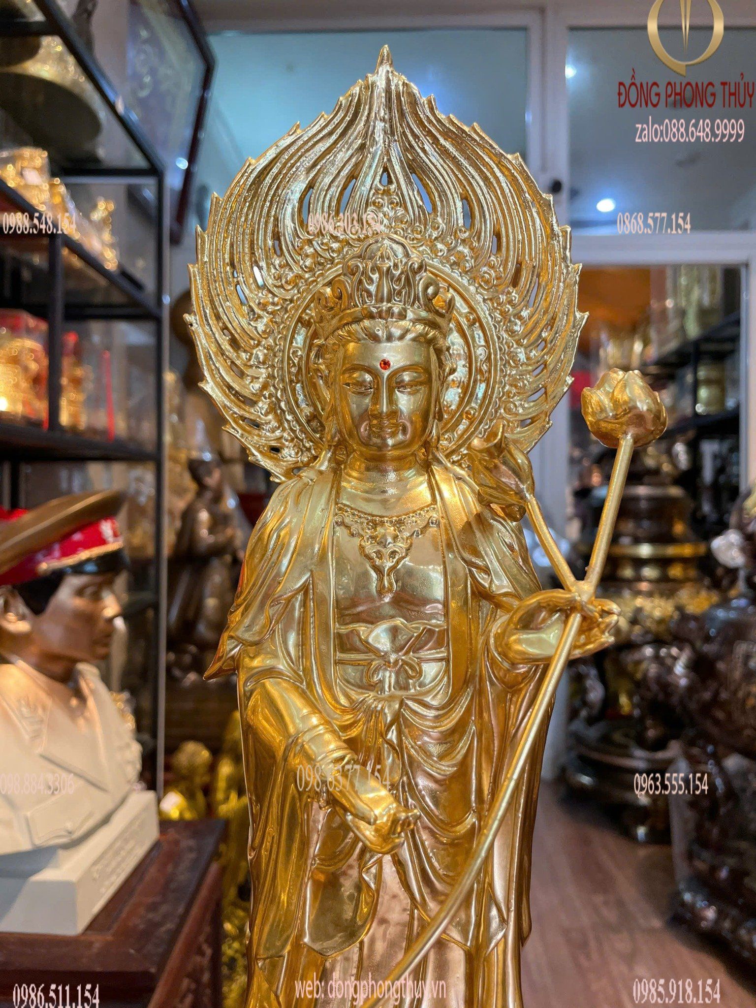 Hình ảnh sản phẩm