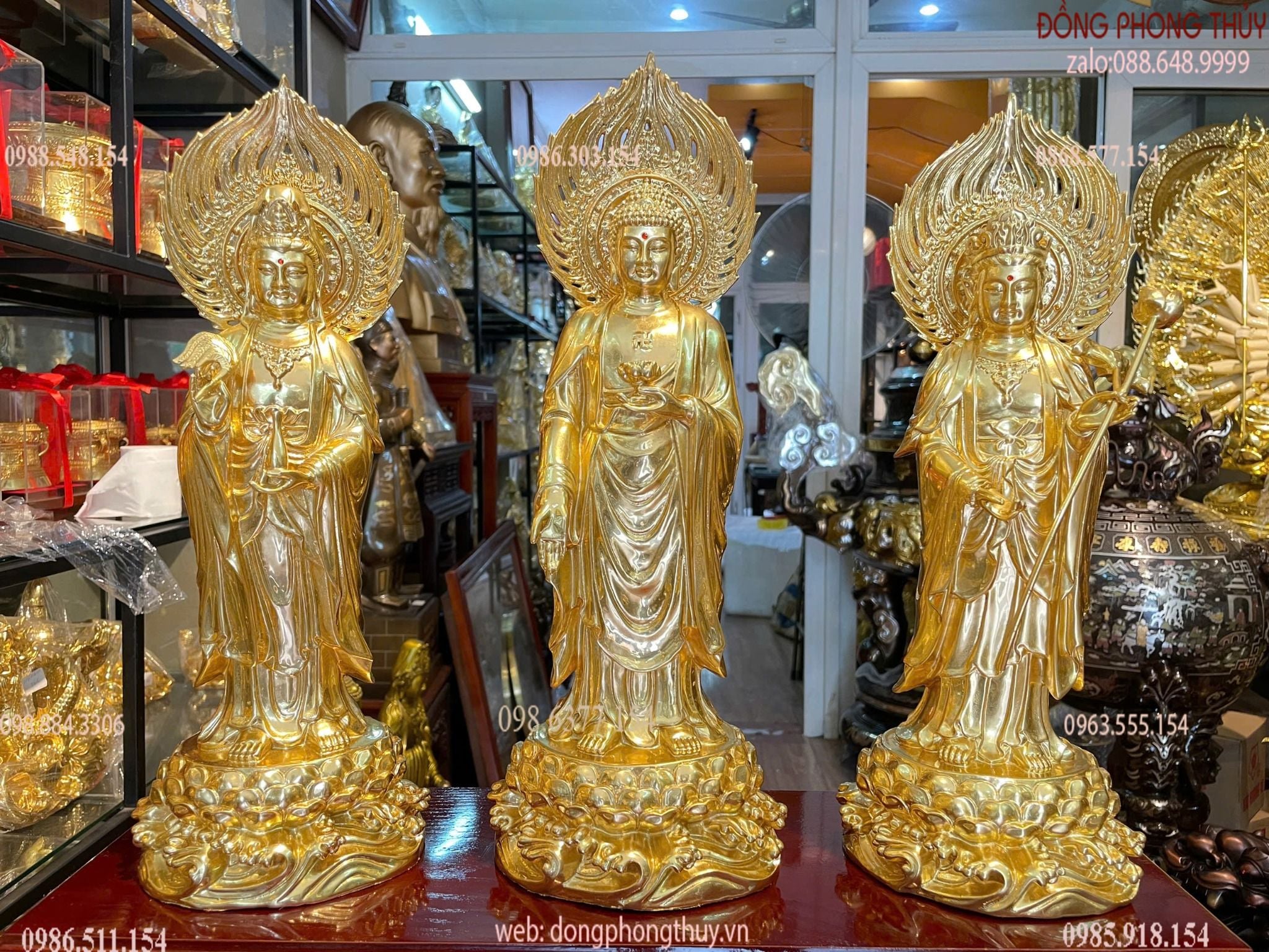 Hình ảnh sản phẩm