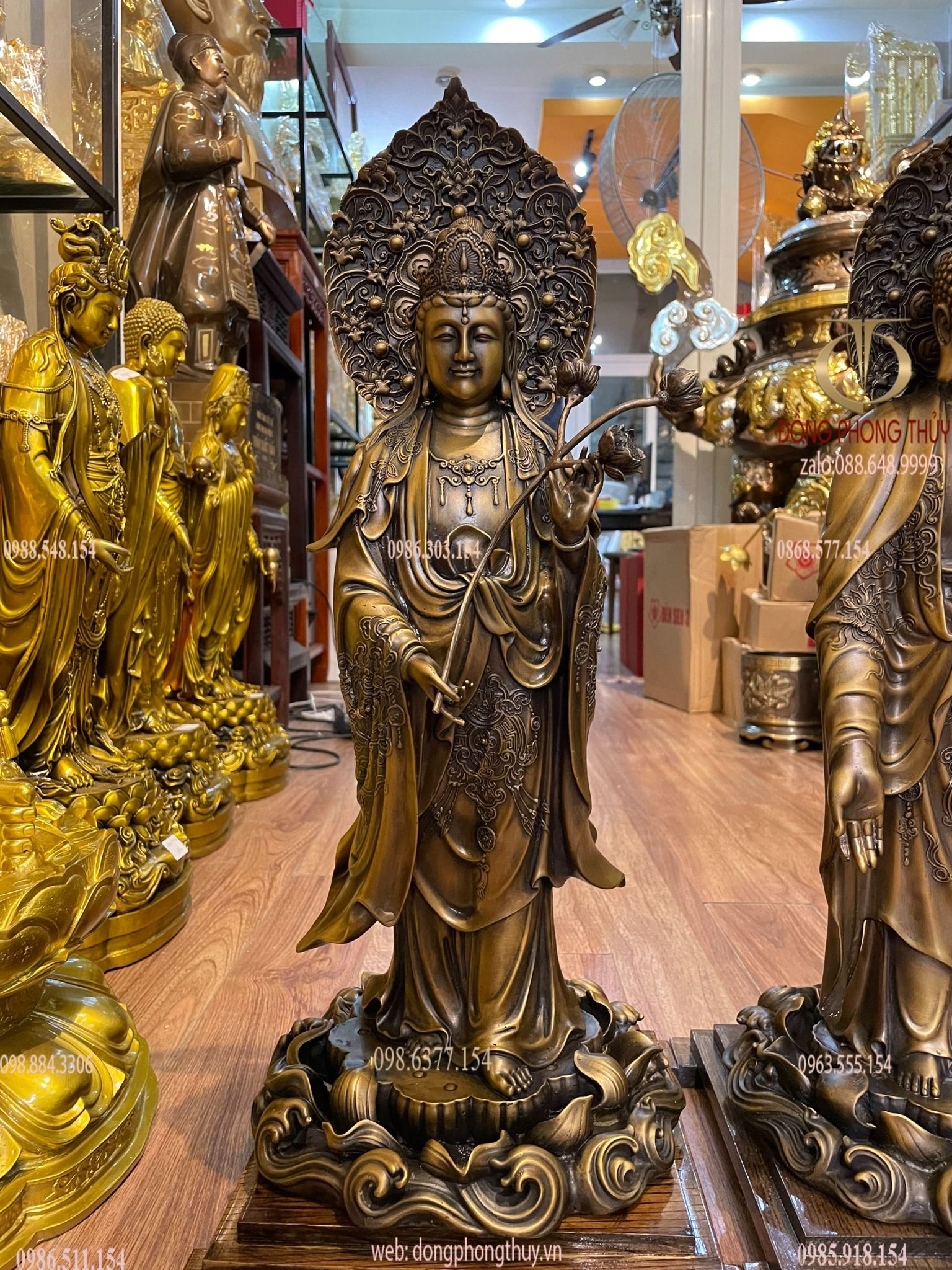 Hình ảnh sản phẩm