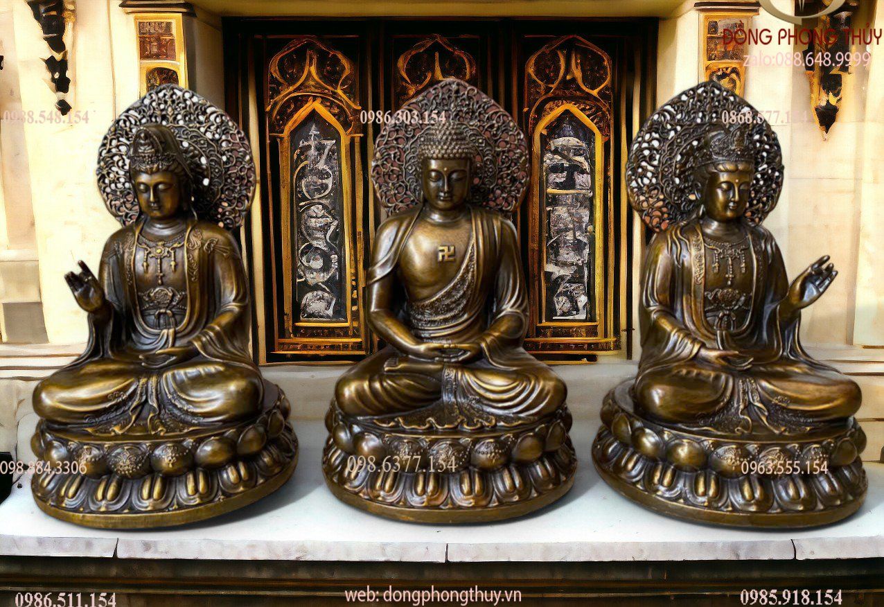 Hình ảnh sản phẩm
