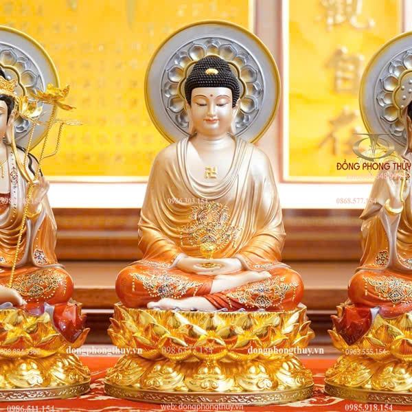 Hình ảnh sản phẩm