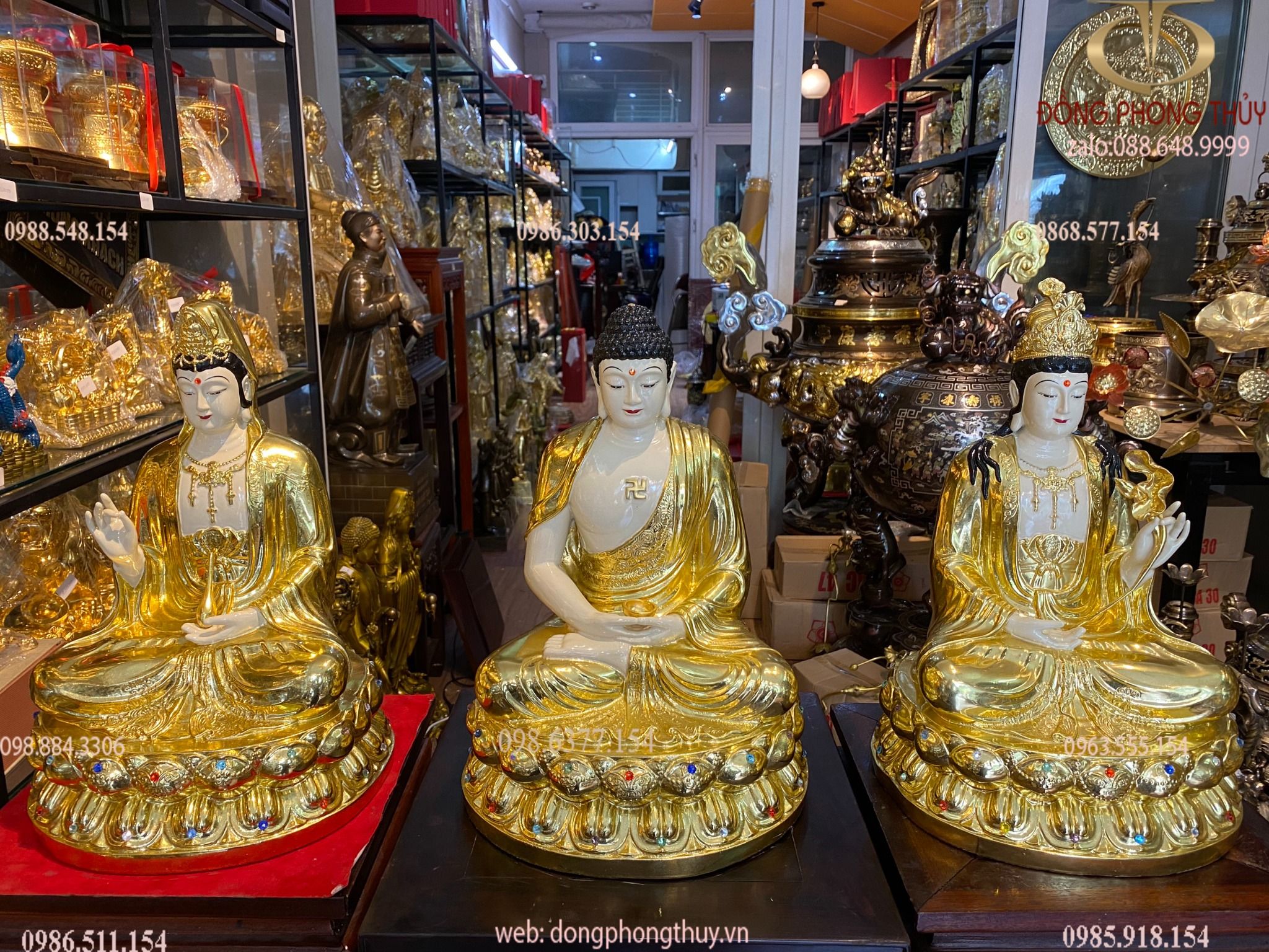 Hình ảnh sản phẩm