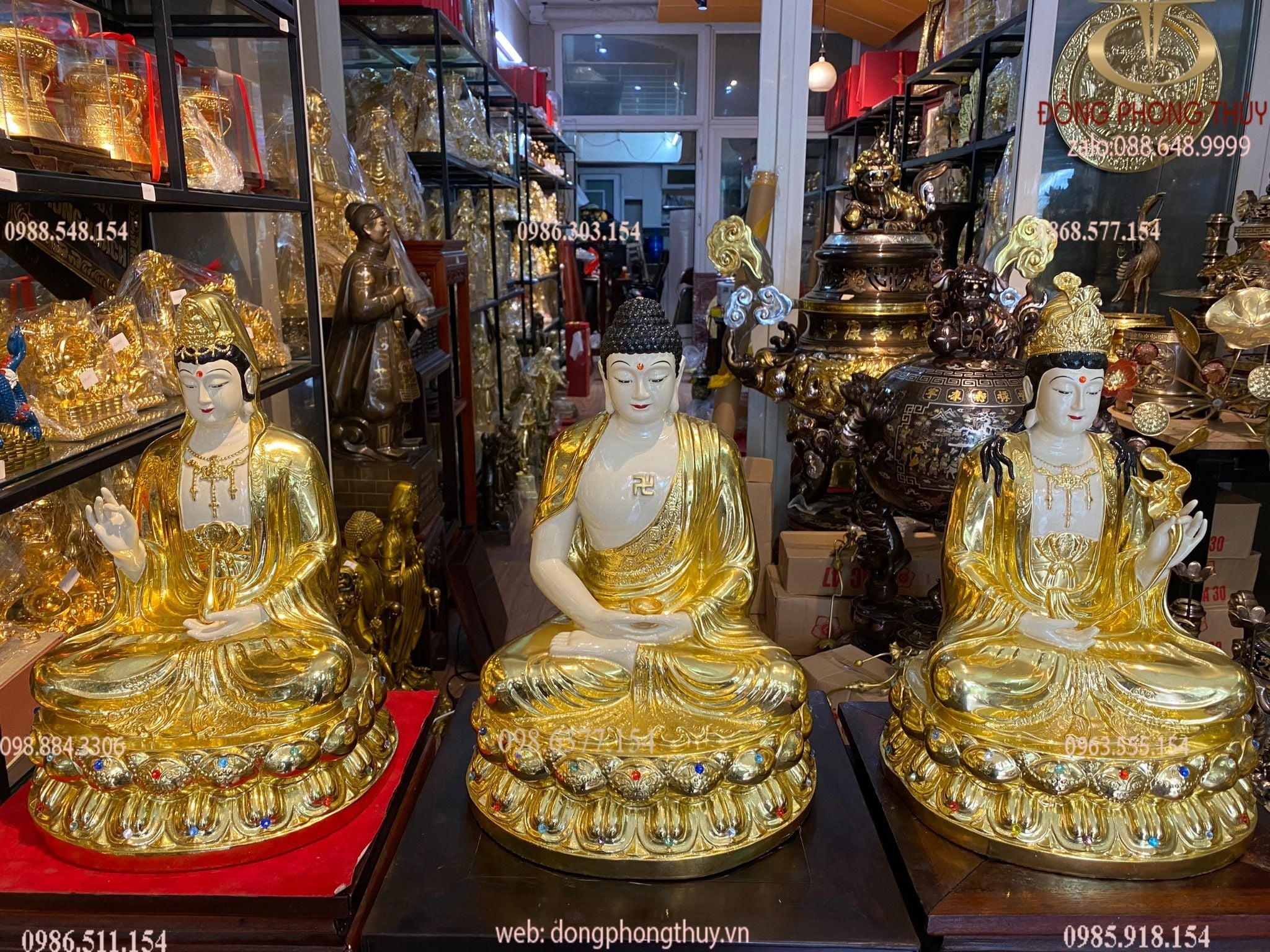 Hình ảnh sản phẩm