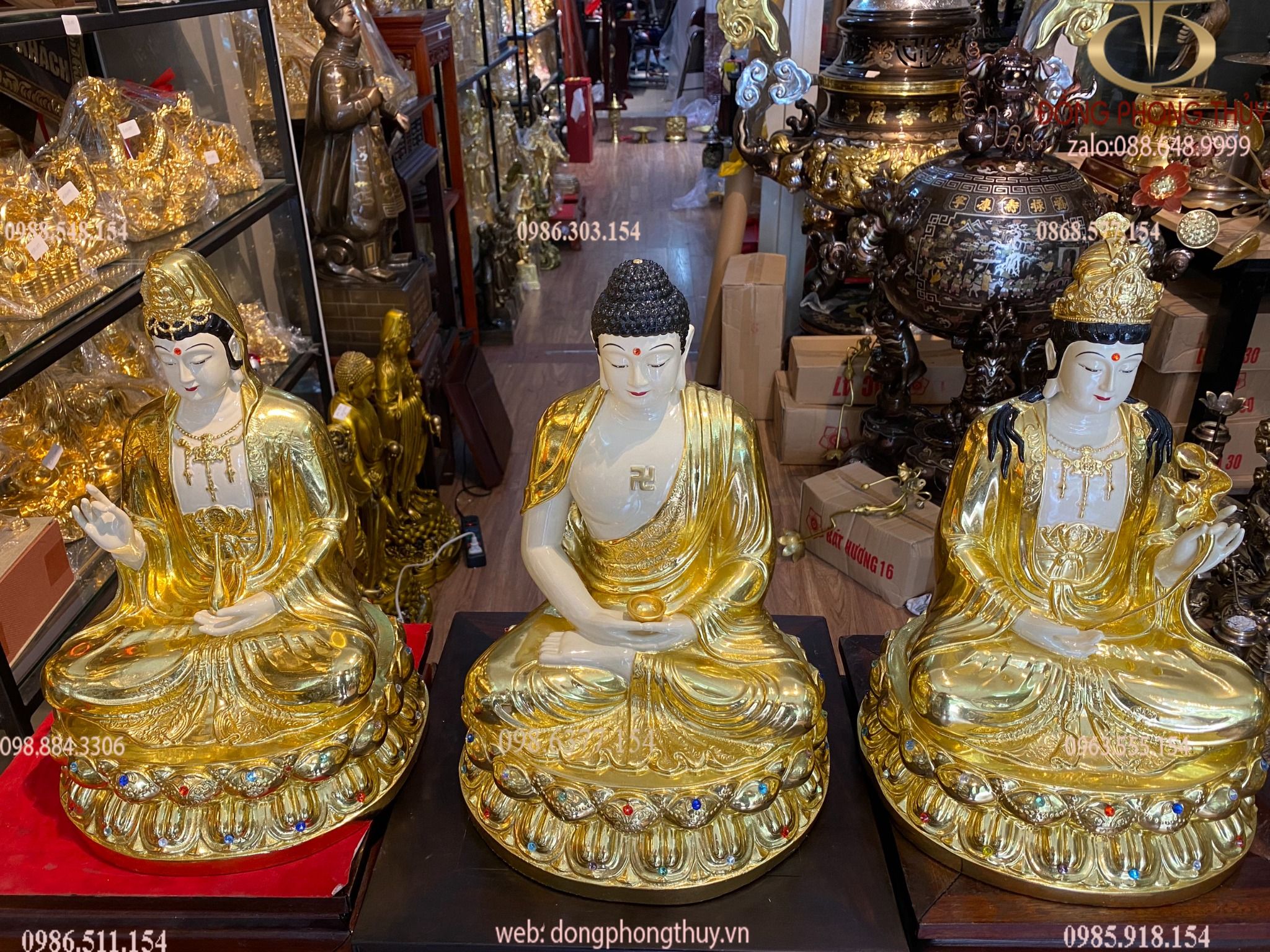 Hình ảnh sản phẩm