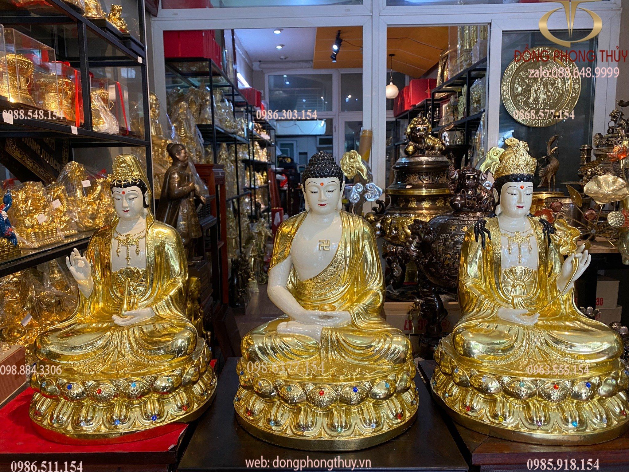 Hình ảnh sản phẩm