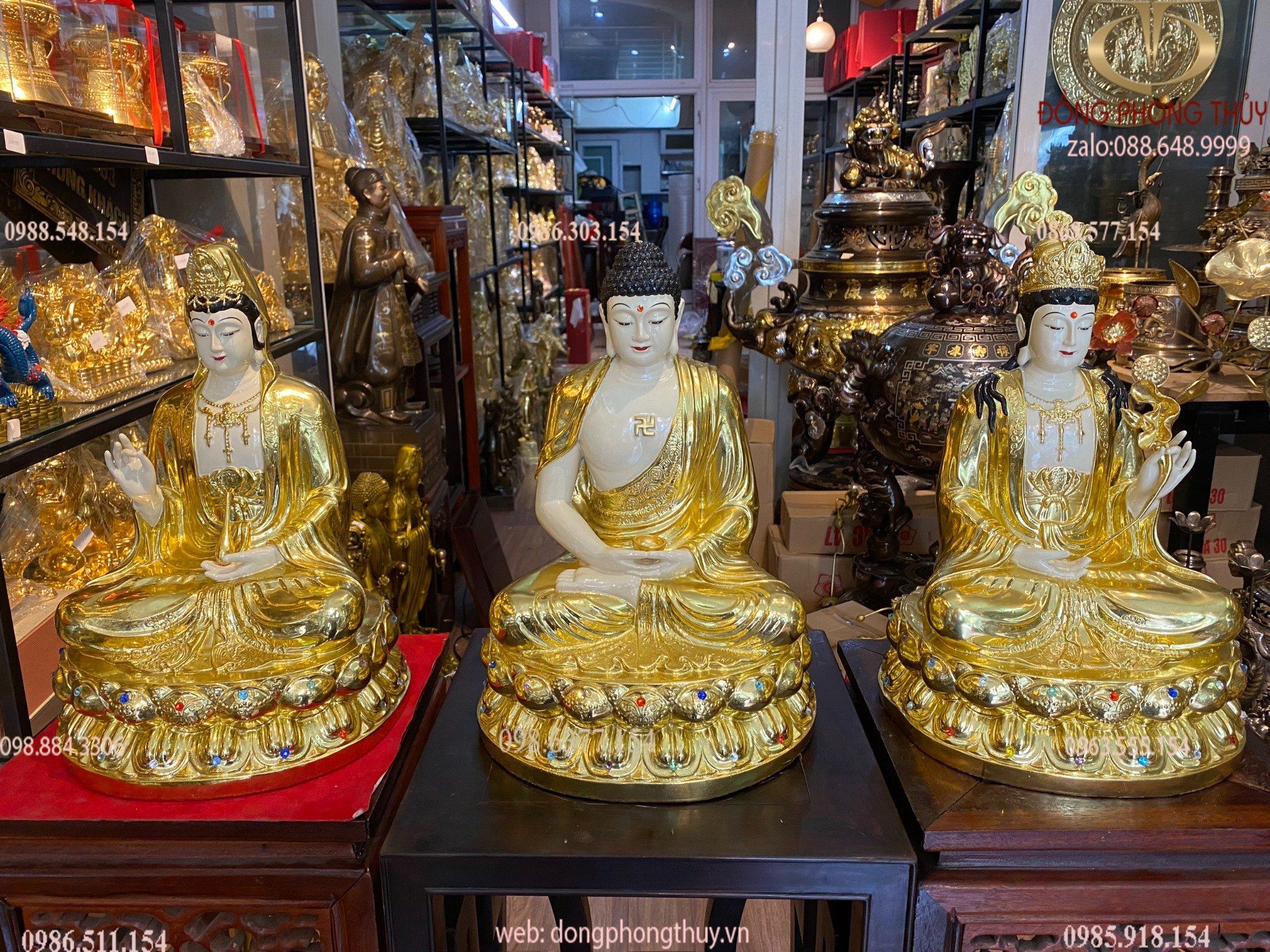 Hình ảnh sản phẩm