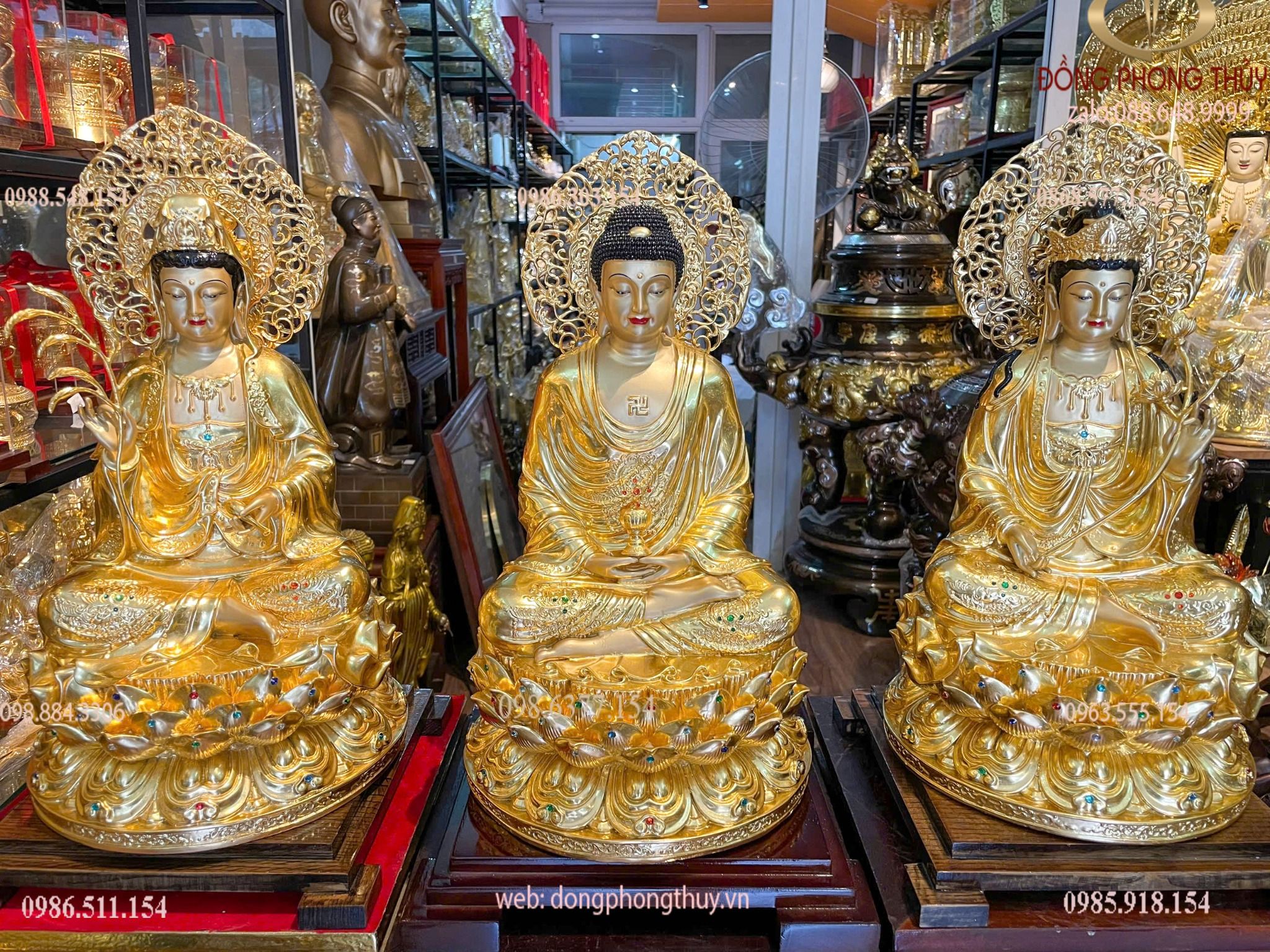 Hình ảnh sản phẩm