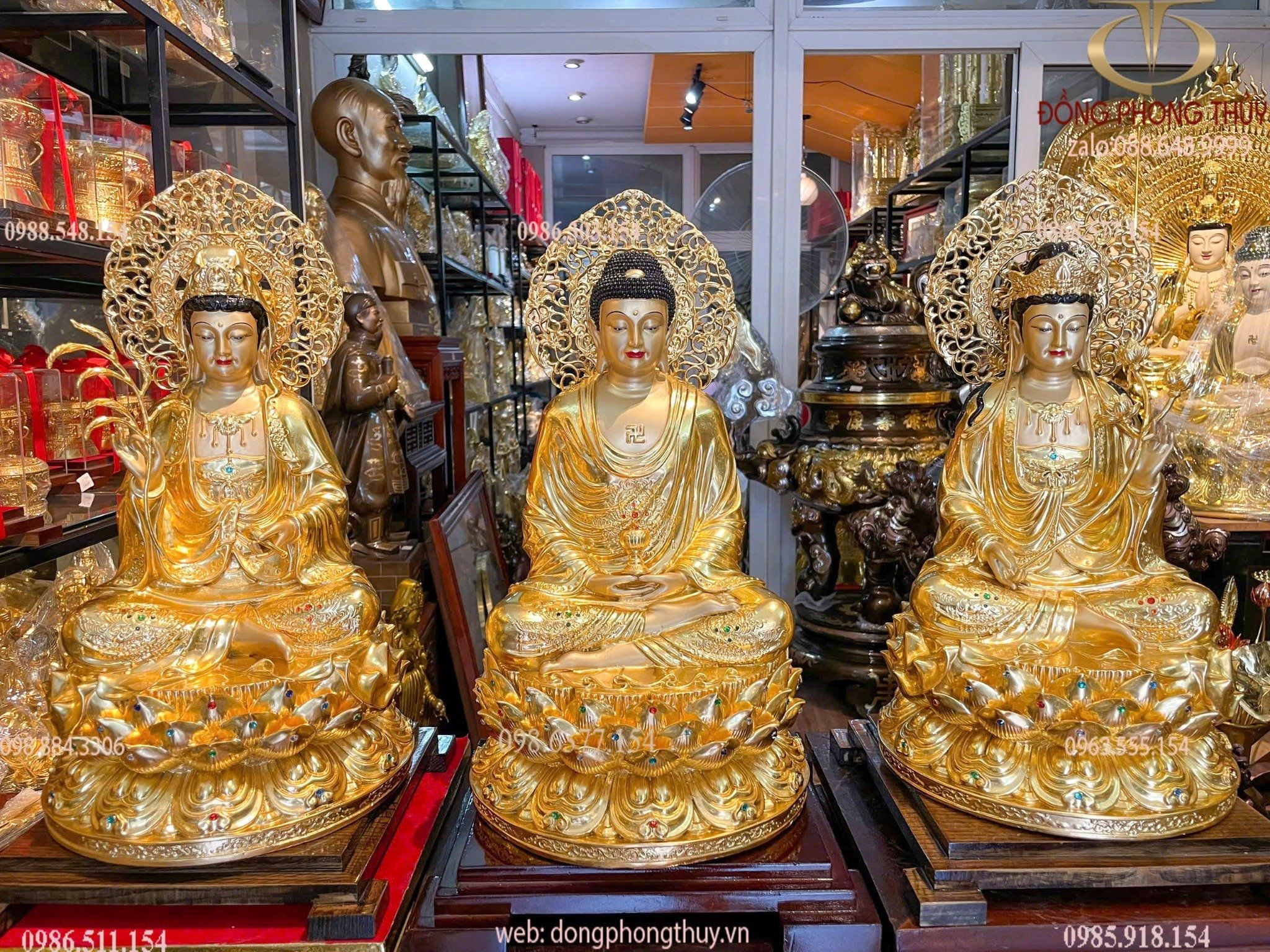 Hình ảnh sản phẩm