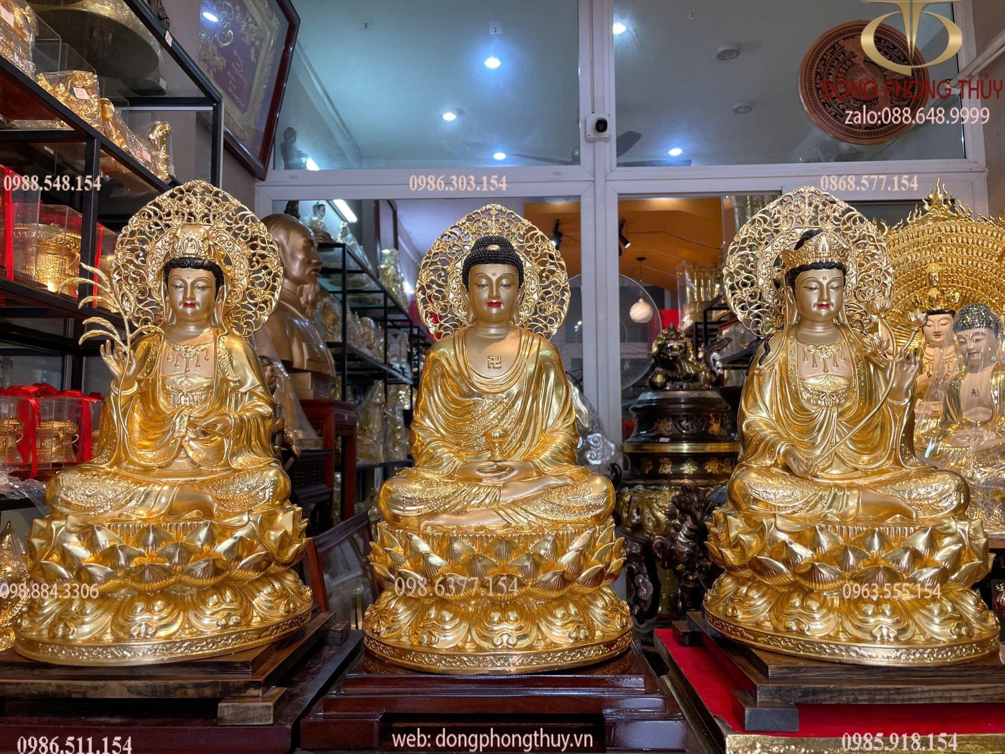 Hình ảnh sản phẩm
