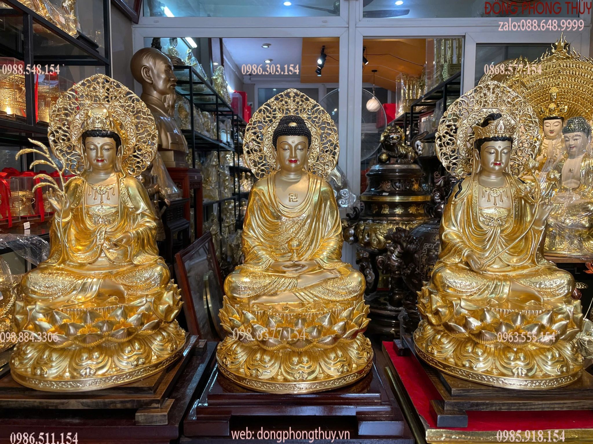Hình ảnh sản phẩm