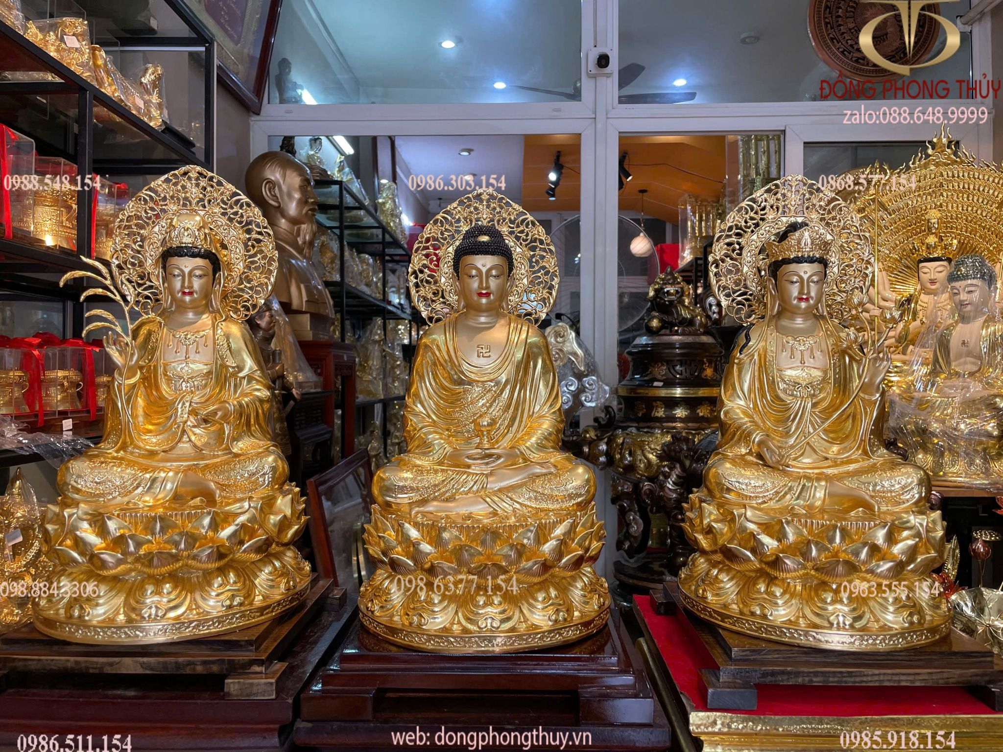 Hình ảnh sản phẩm