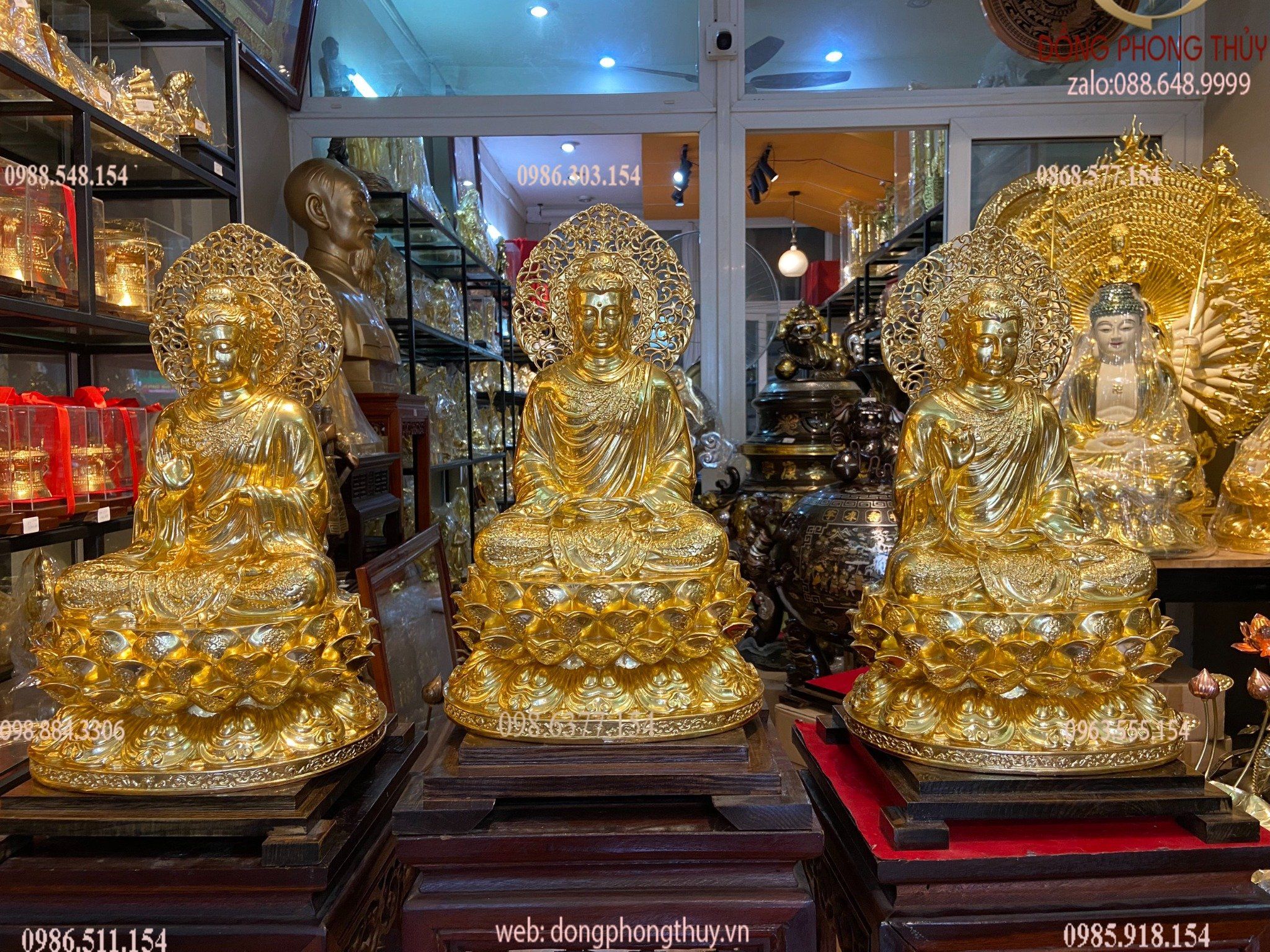 Hình ảnh sản phẩm
