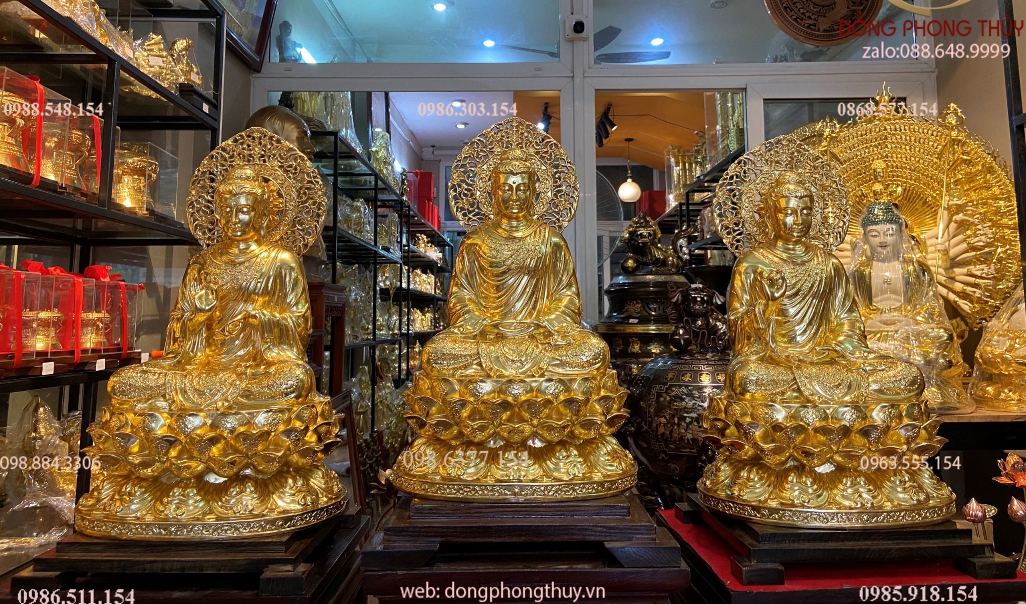Hình ảnh sản phẩm
