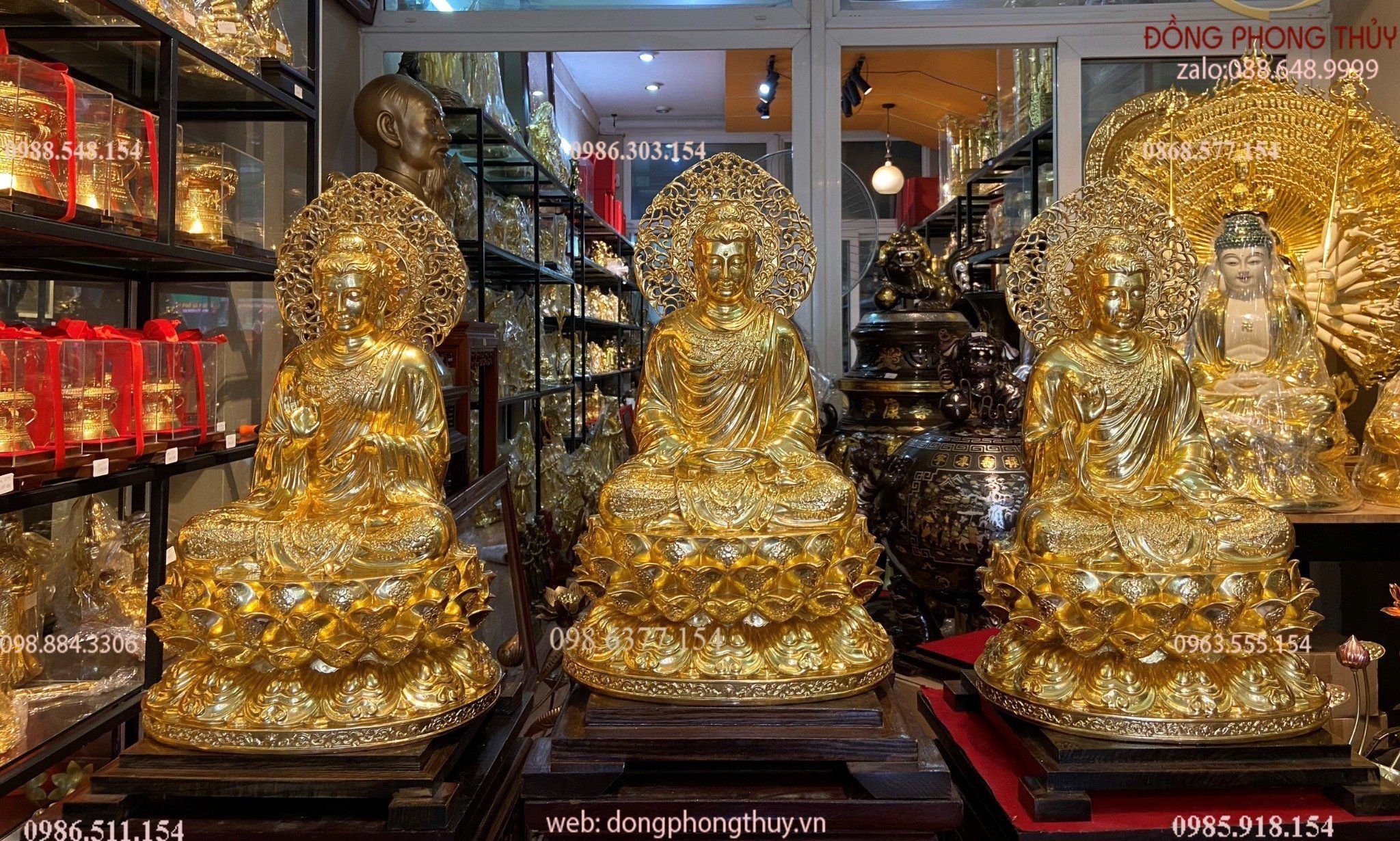 Hình ảnh sản phẩm