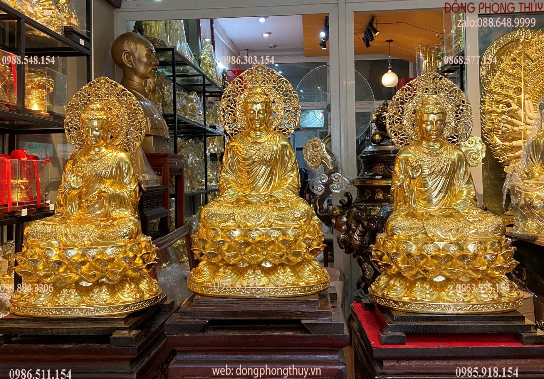 Hình ảnh sản phẩm