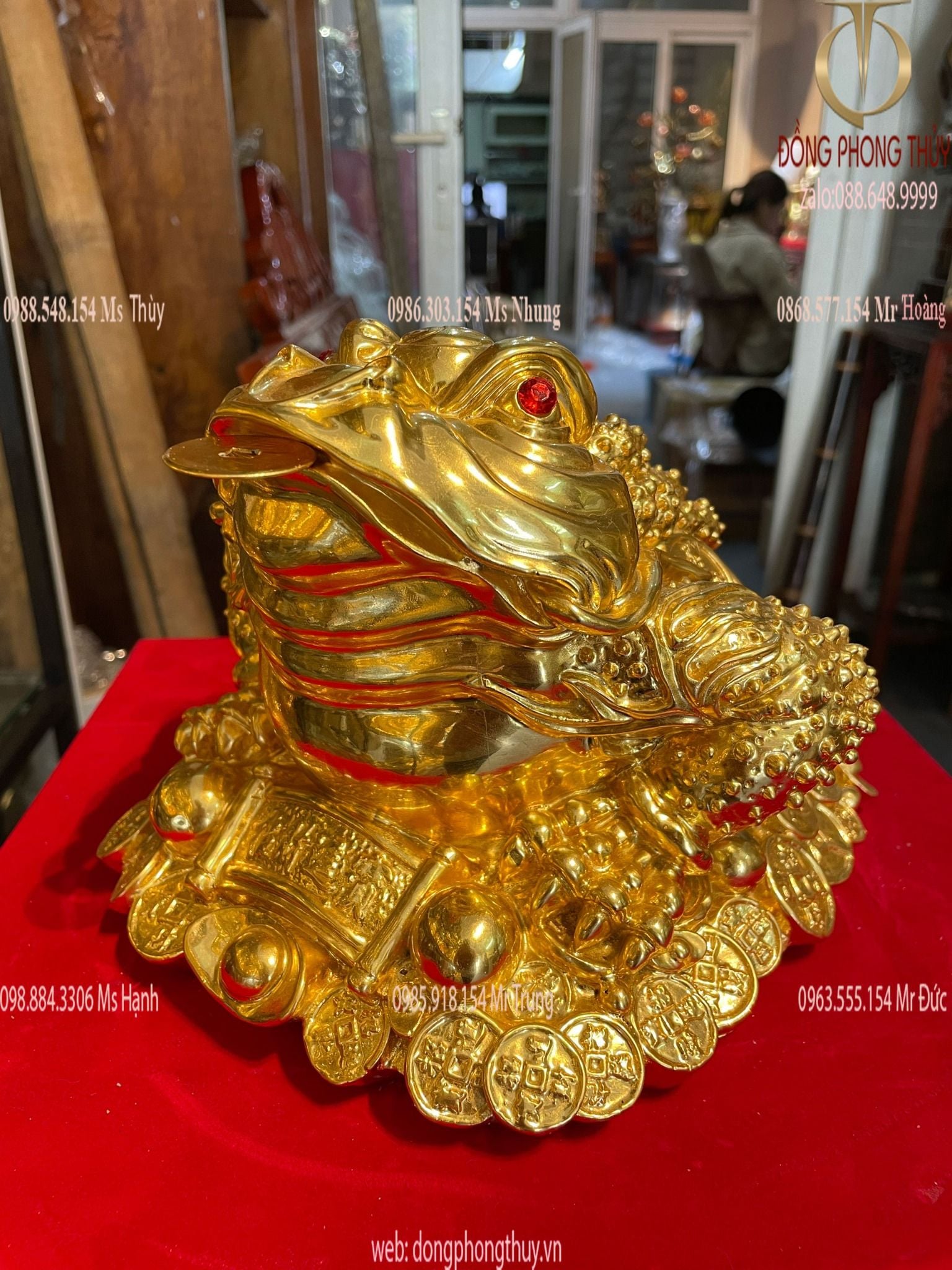 Thiềm thừ - Cóc ngậm tiền bằng đồng dát vàng 24k