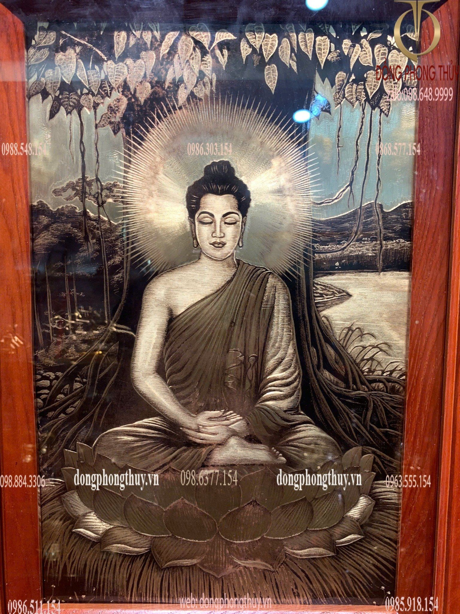 Hình ảnh sản phẩm