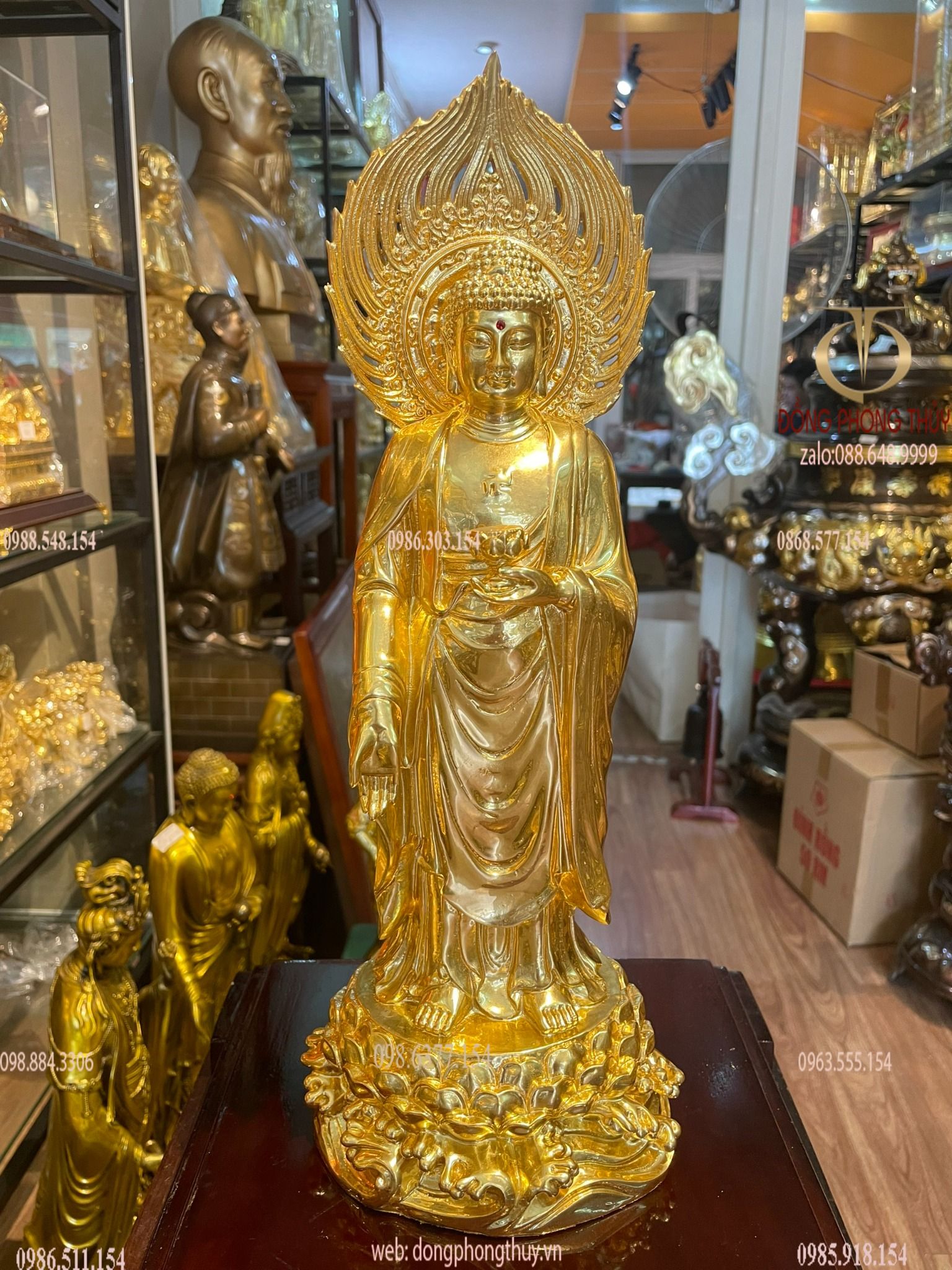 Hình ảnh sản phẩm