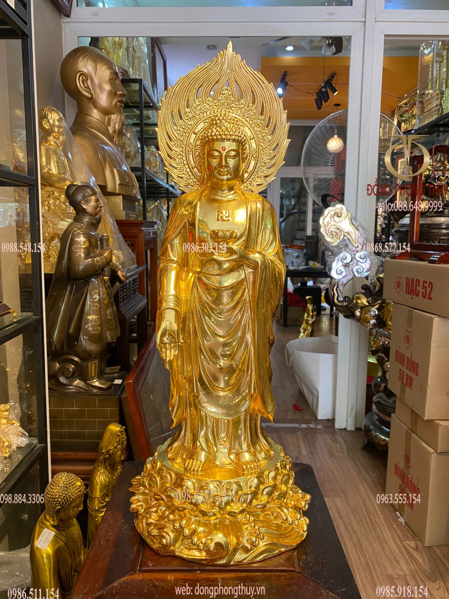 Hình ảnh sản phẩm