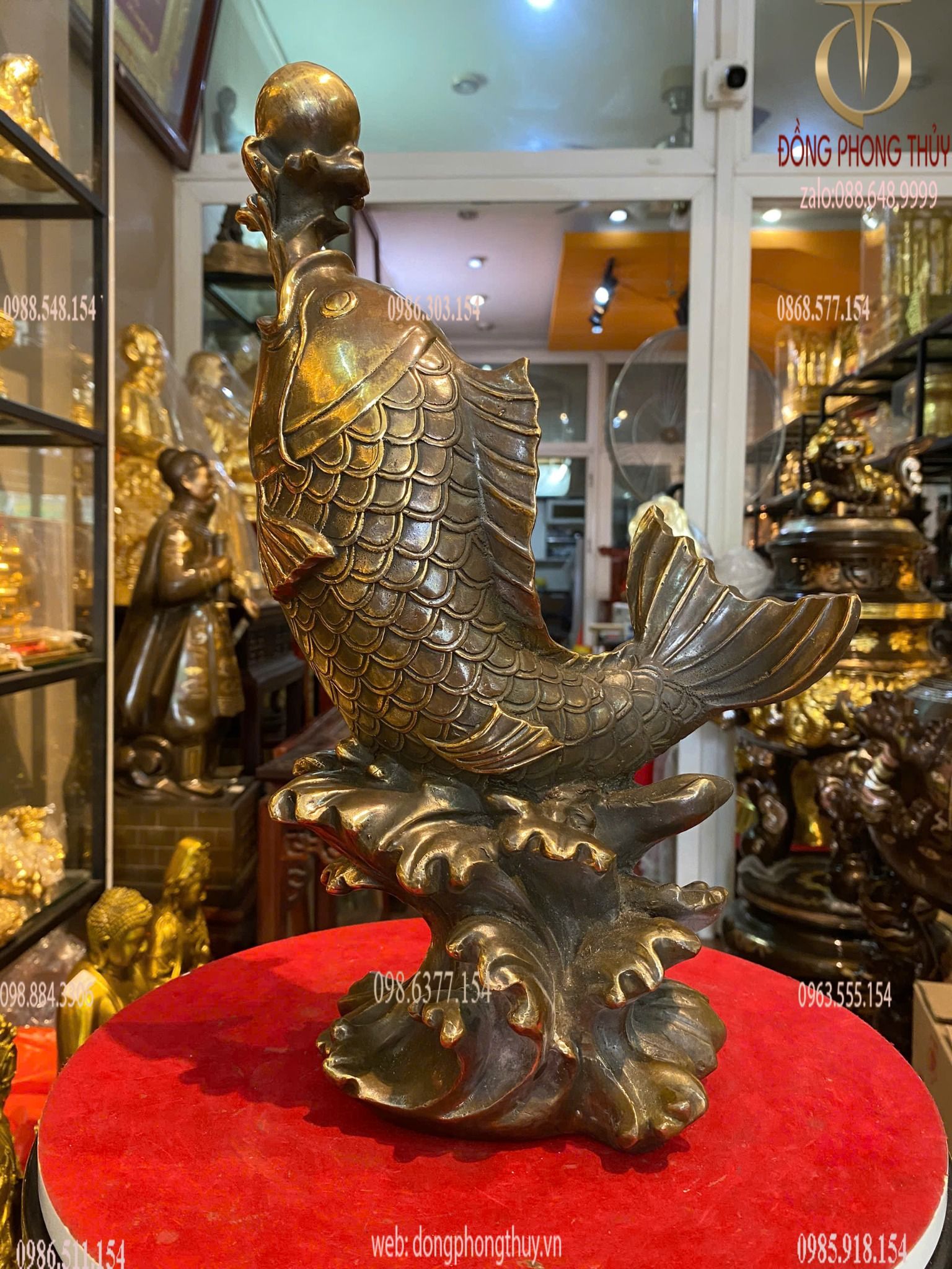 Hình ảnh sản phẩm