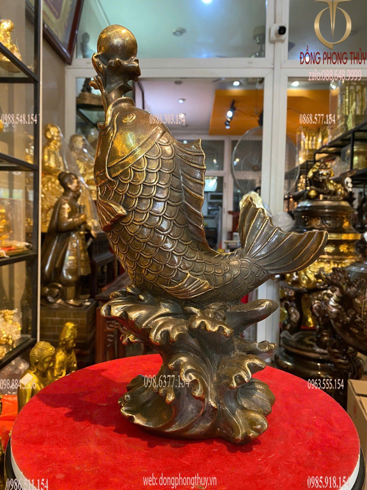 Hình ảnh sản phẩm