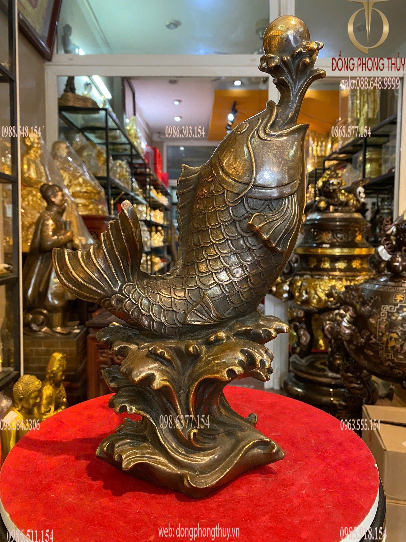 Hình ảnh sản phẩm