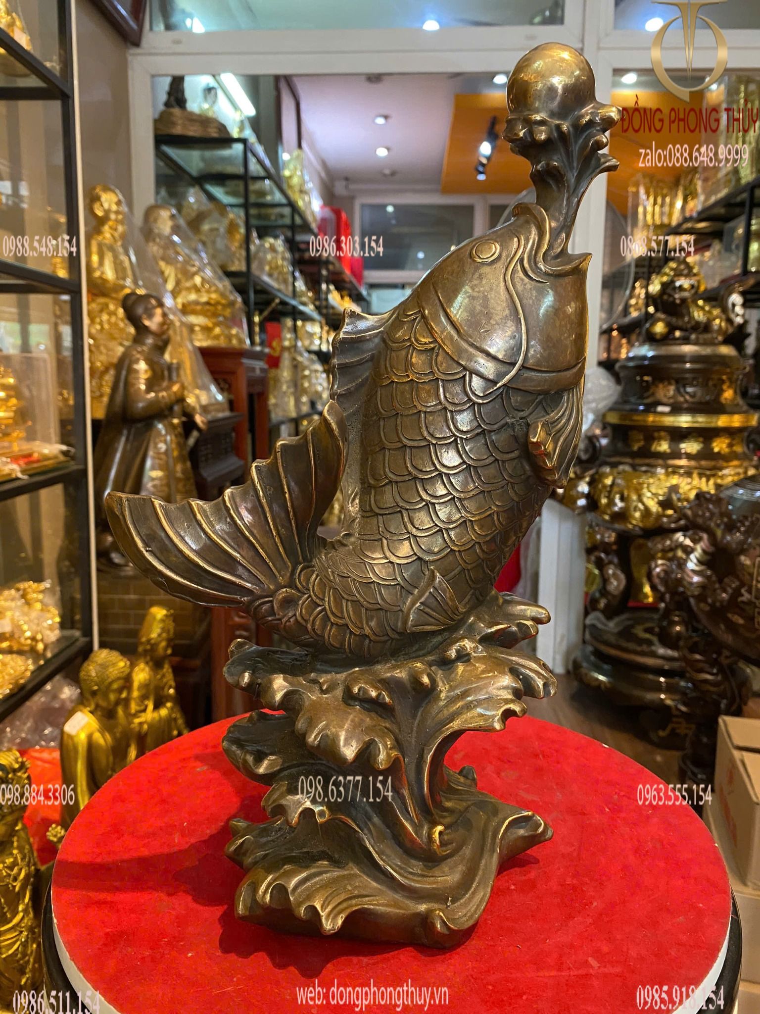 Hình ảnh sản phẩm