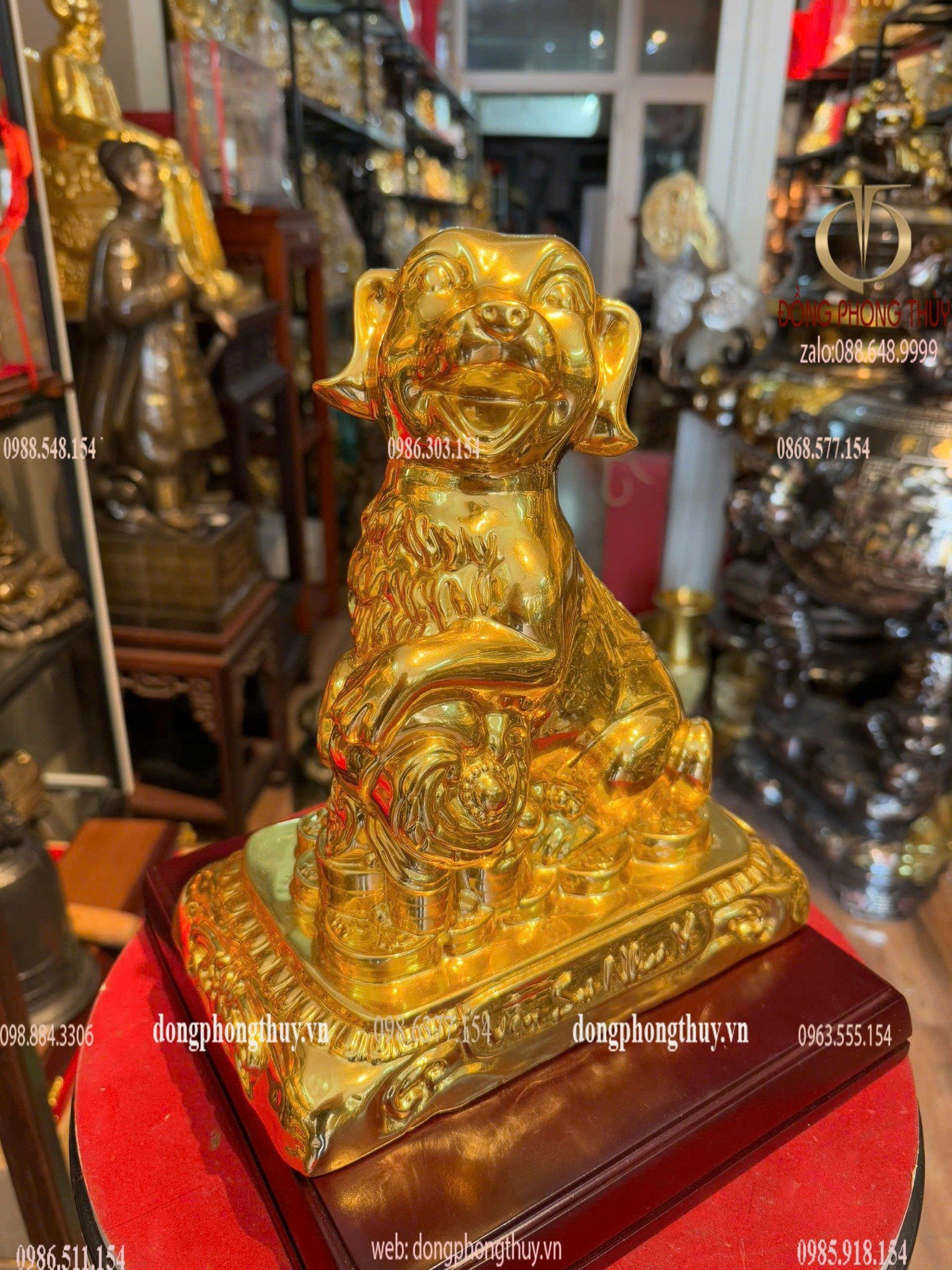 Hình ảnh sản phẩm