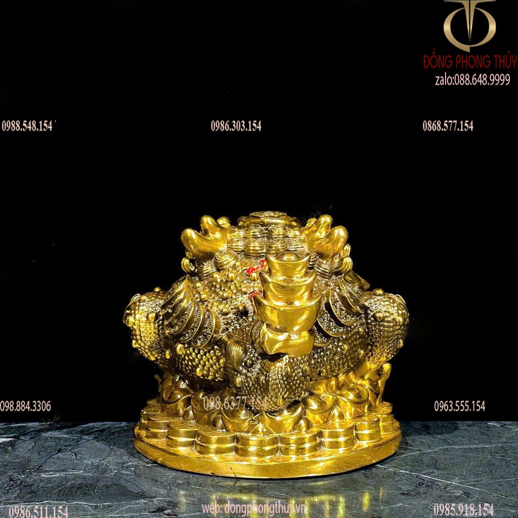 Hình ảnh sản phẩm