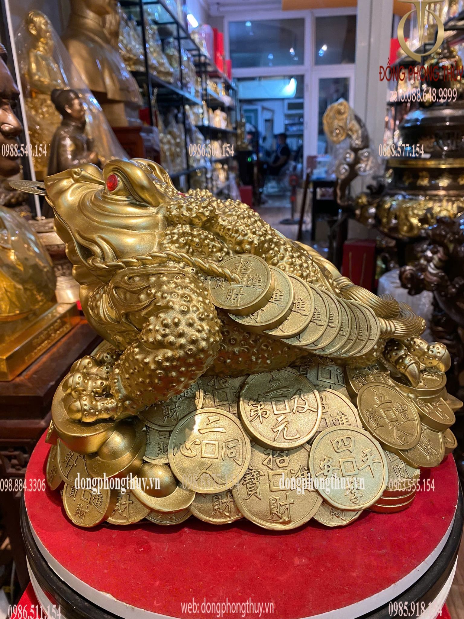 Hình ảnh sản phẩm
