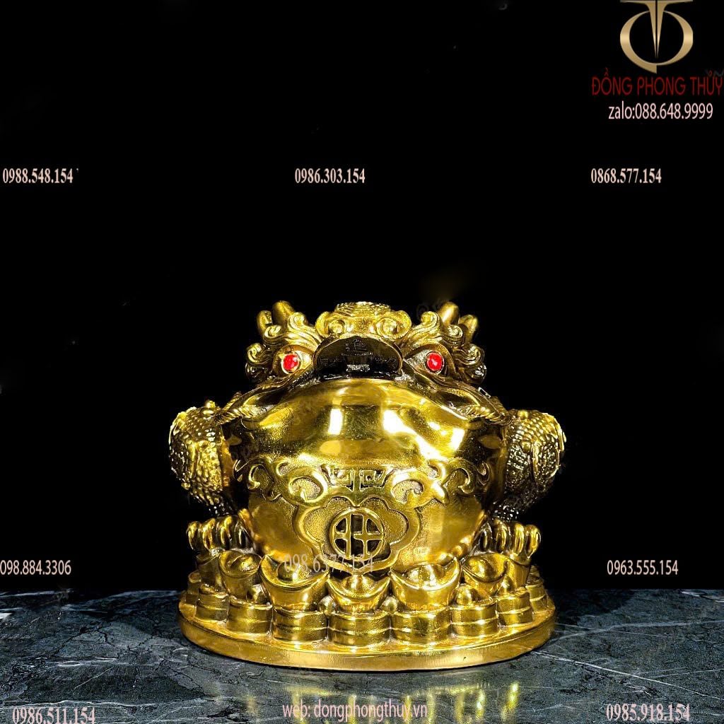 Hình ảnh sản phẩm