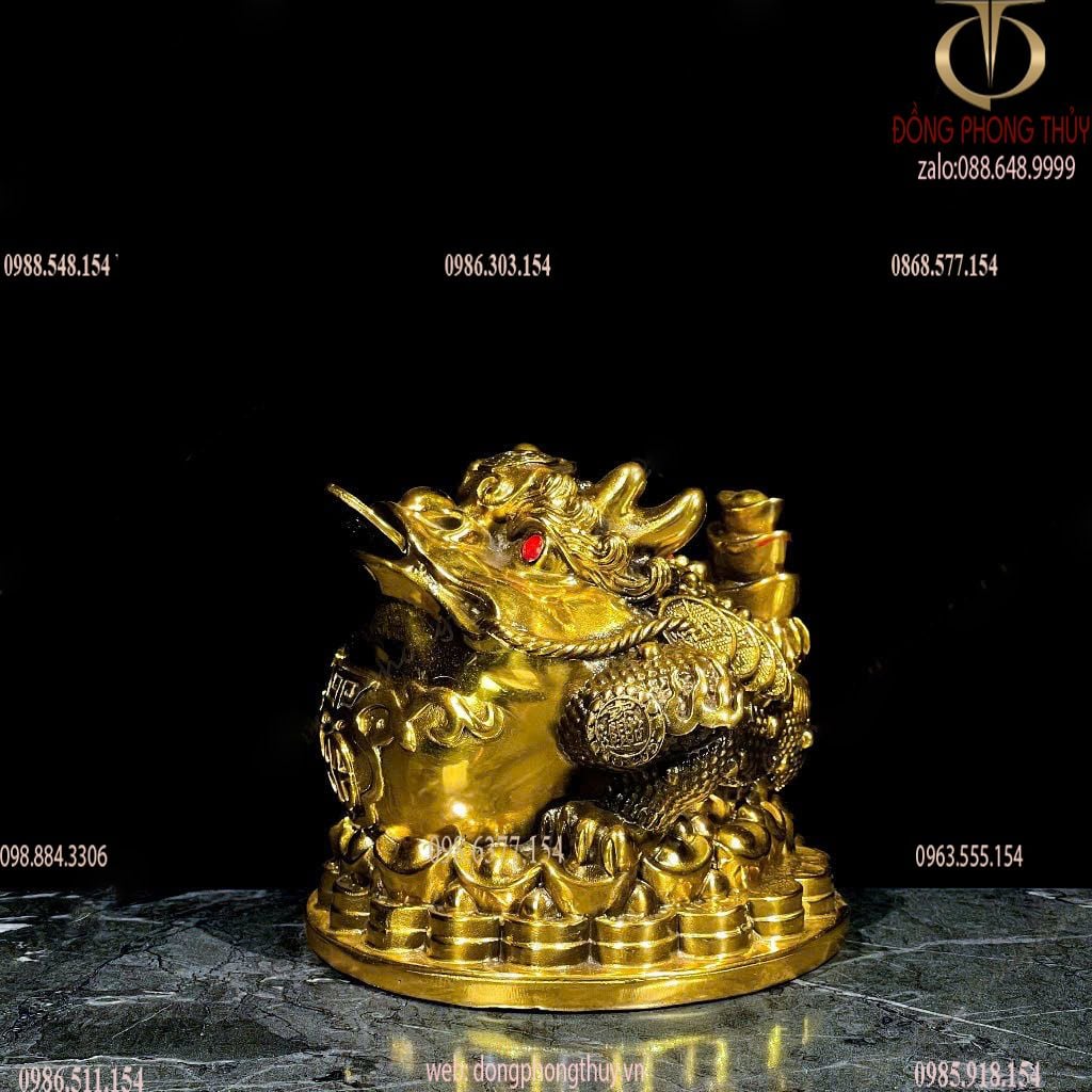 Hình ảnh sản phẩm