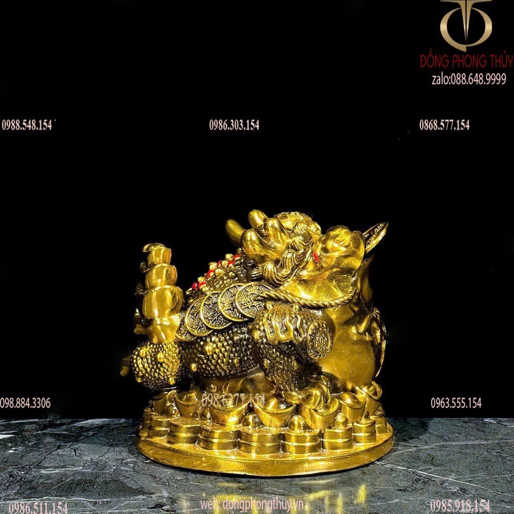 Hình ảnh sản phẩm