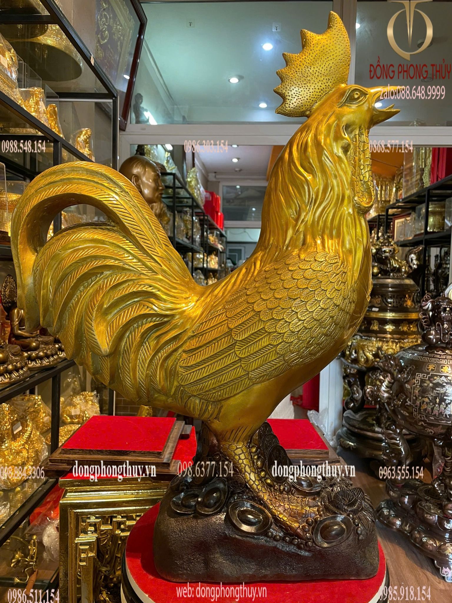 Hình ảnh sản phẩm