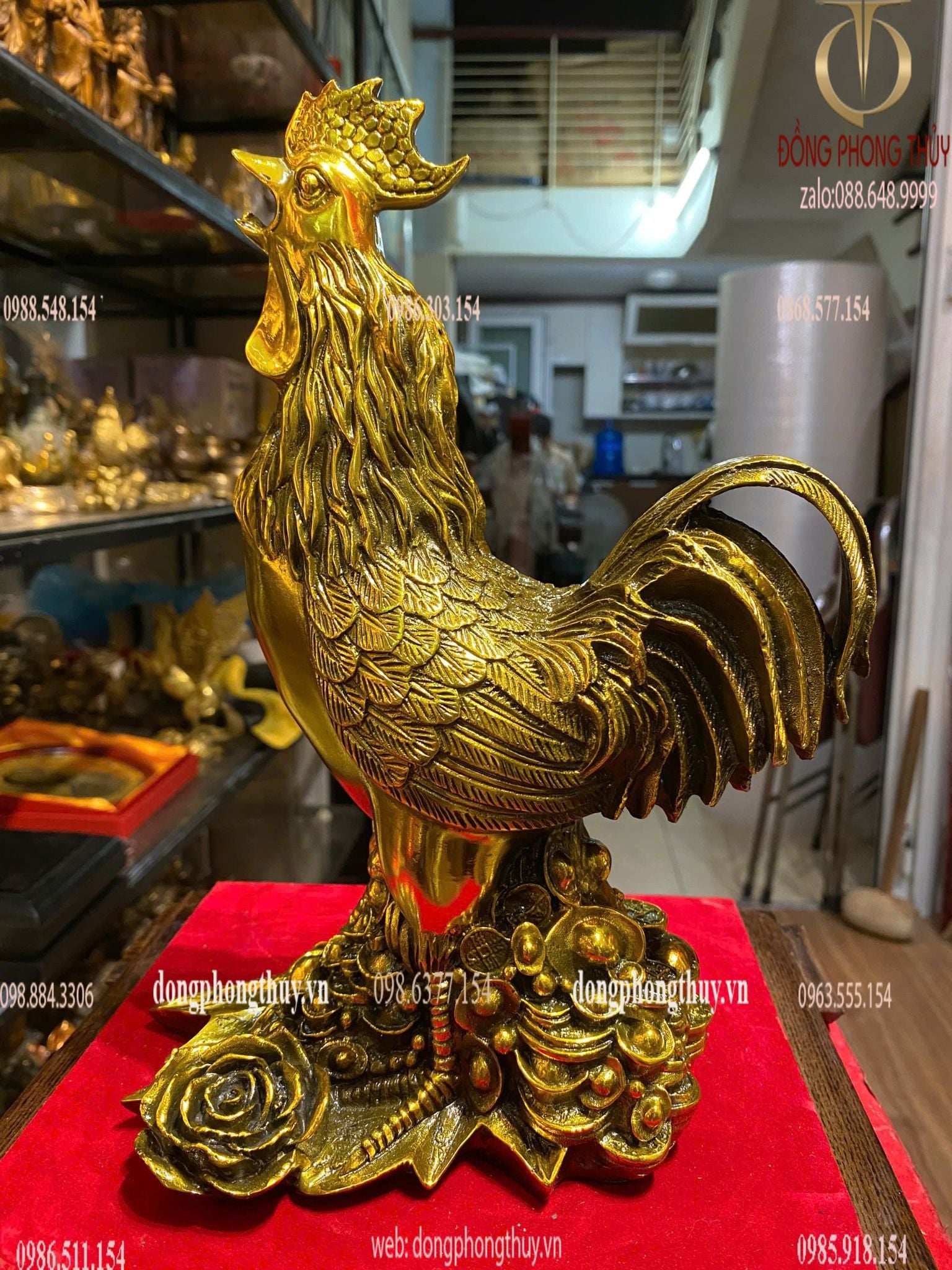 Hình ảnh sản phẩm