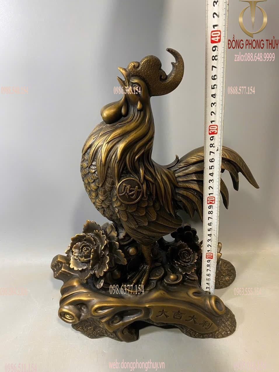 Hình ảnh sản phẩm