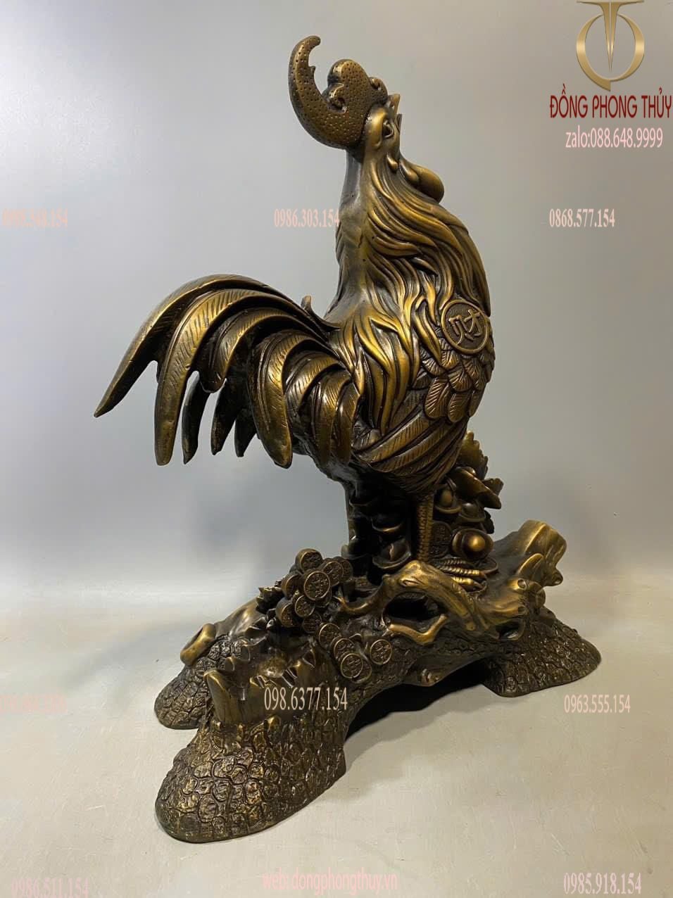 Hình ảnh sản phẩm