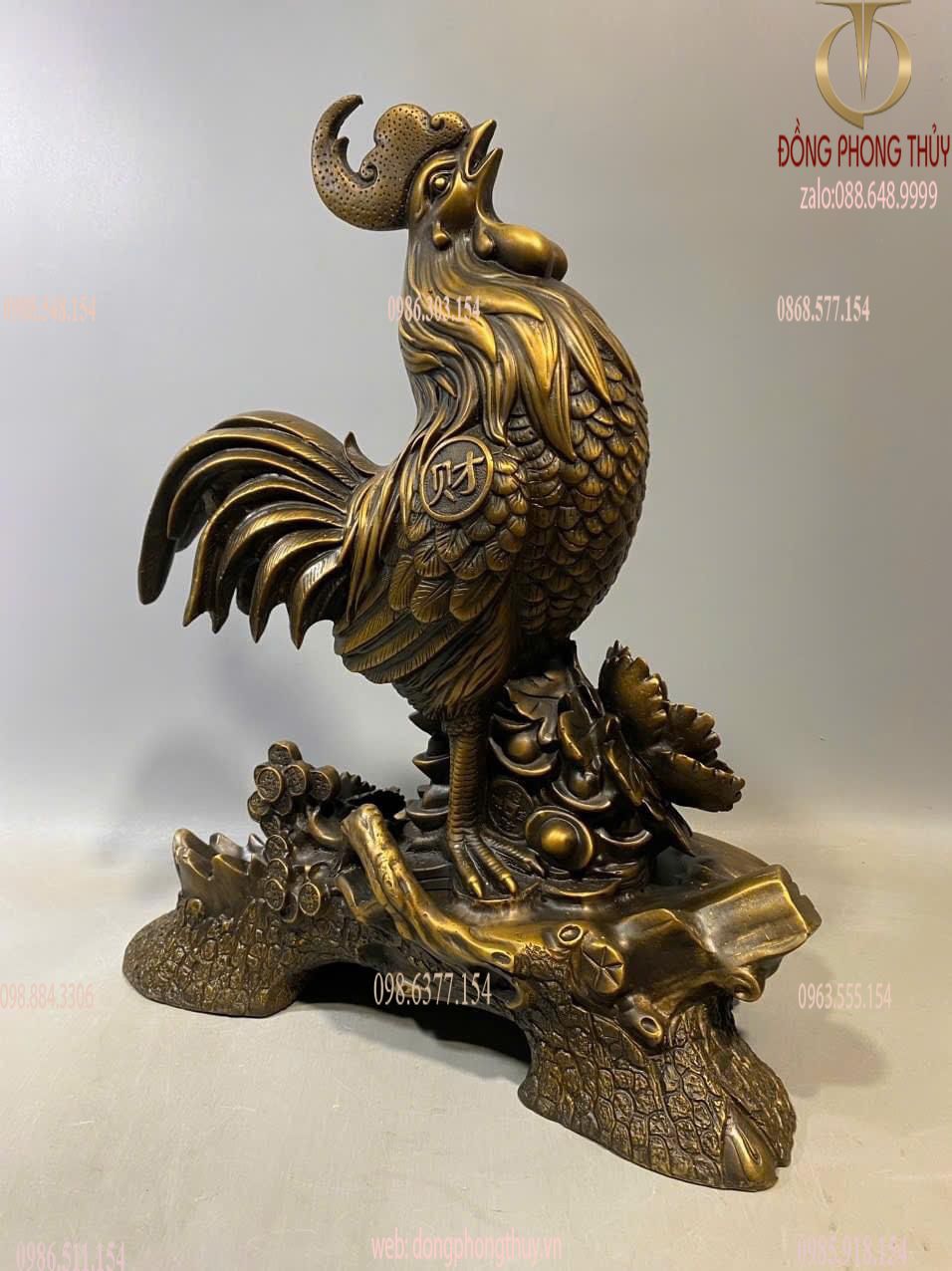 Hình ảnh sản phẩm