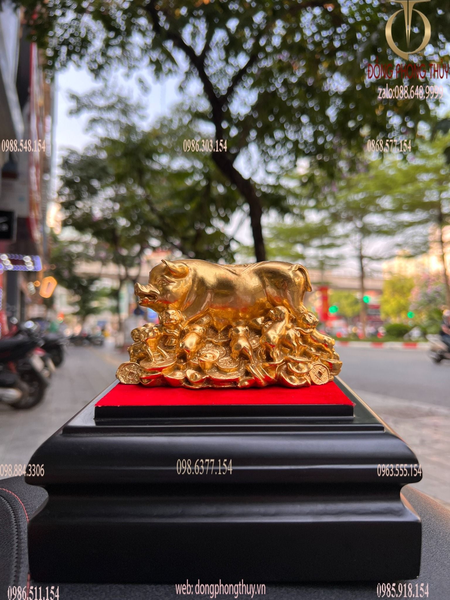 Hình ảnh sản phẩm