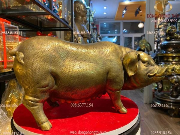 Tượng heo lái bằng đồng