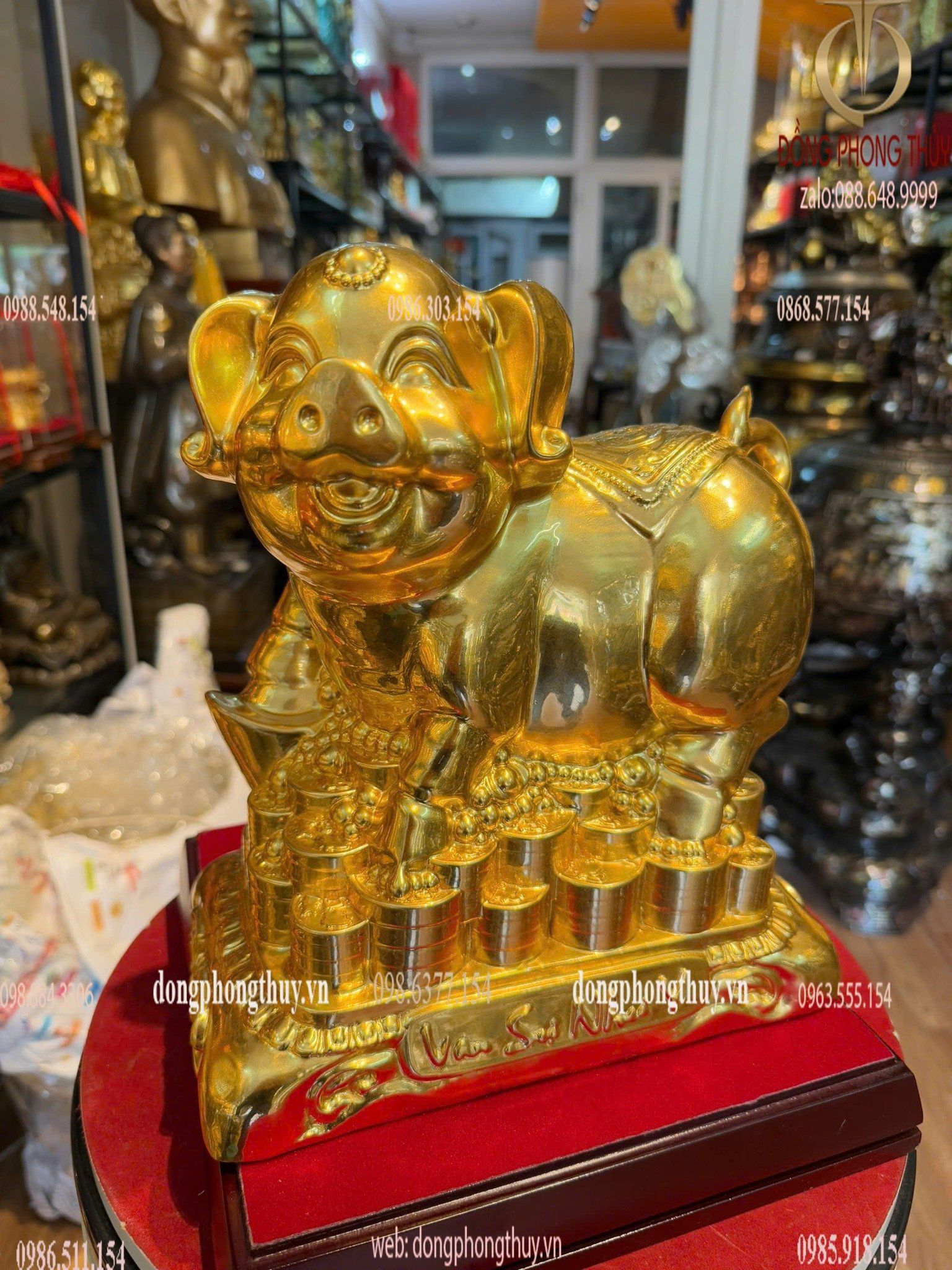 Hình ảnh sản phẩm