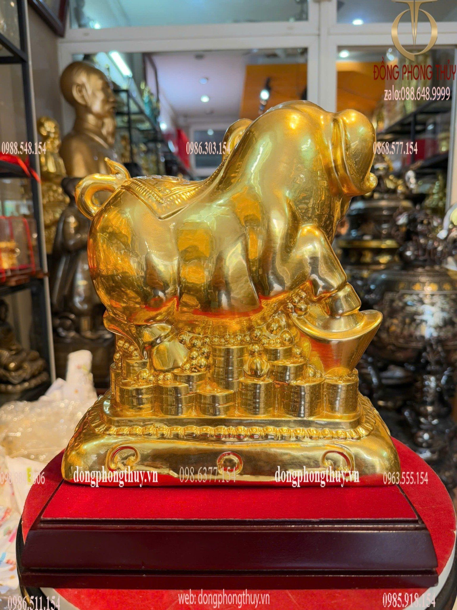 Hình ảnh sản phẩm