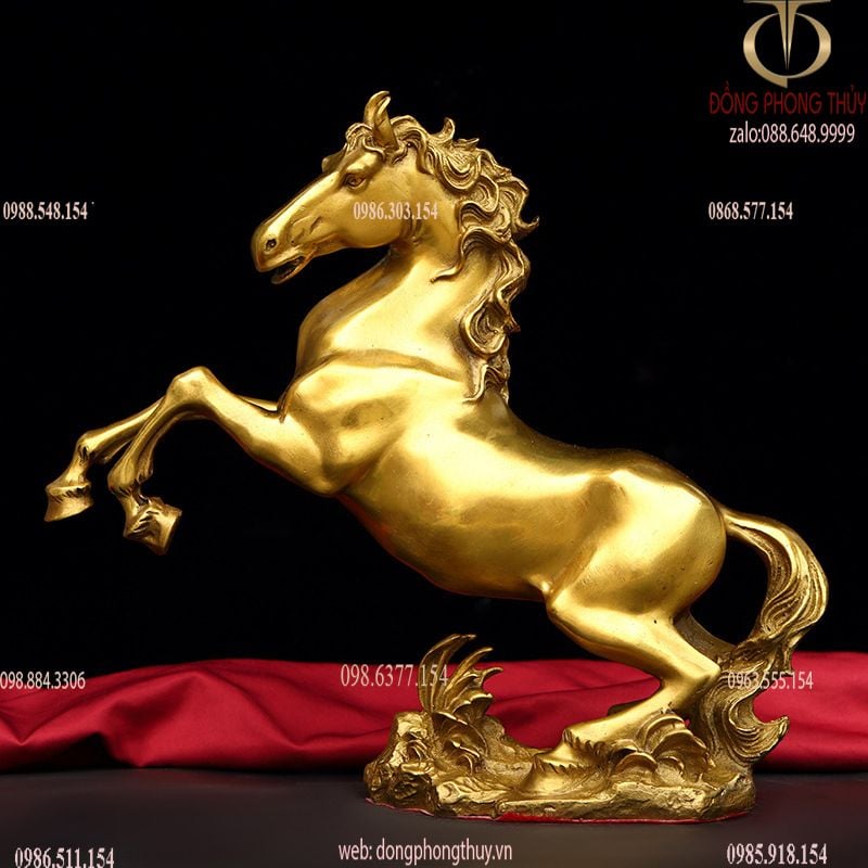 Hình ảnh sản phẩm