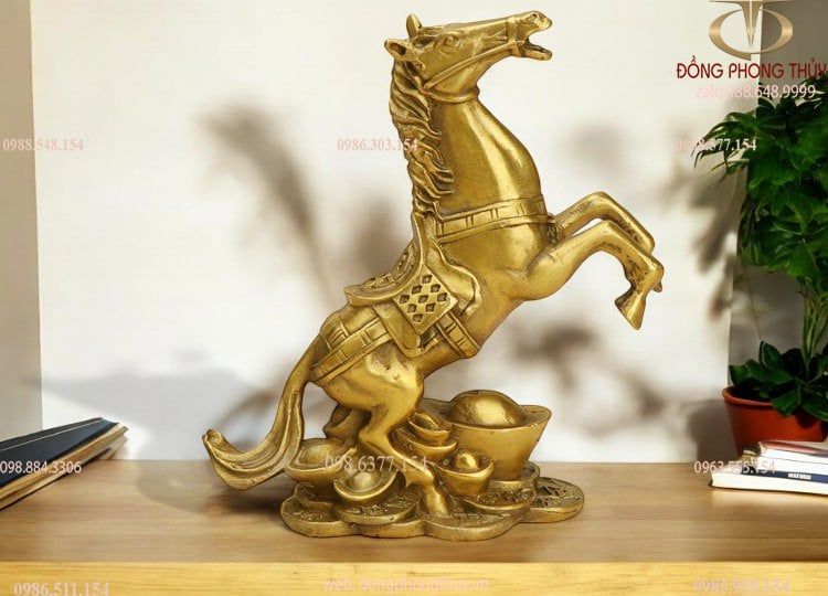 Hình ảnh sản phẩm