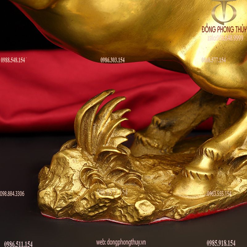 Hình ảnh sản phẩm