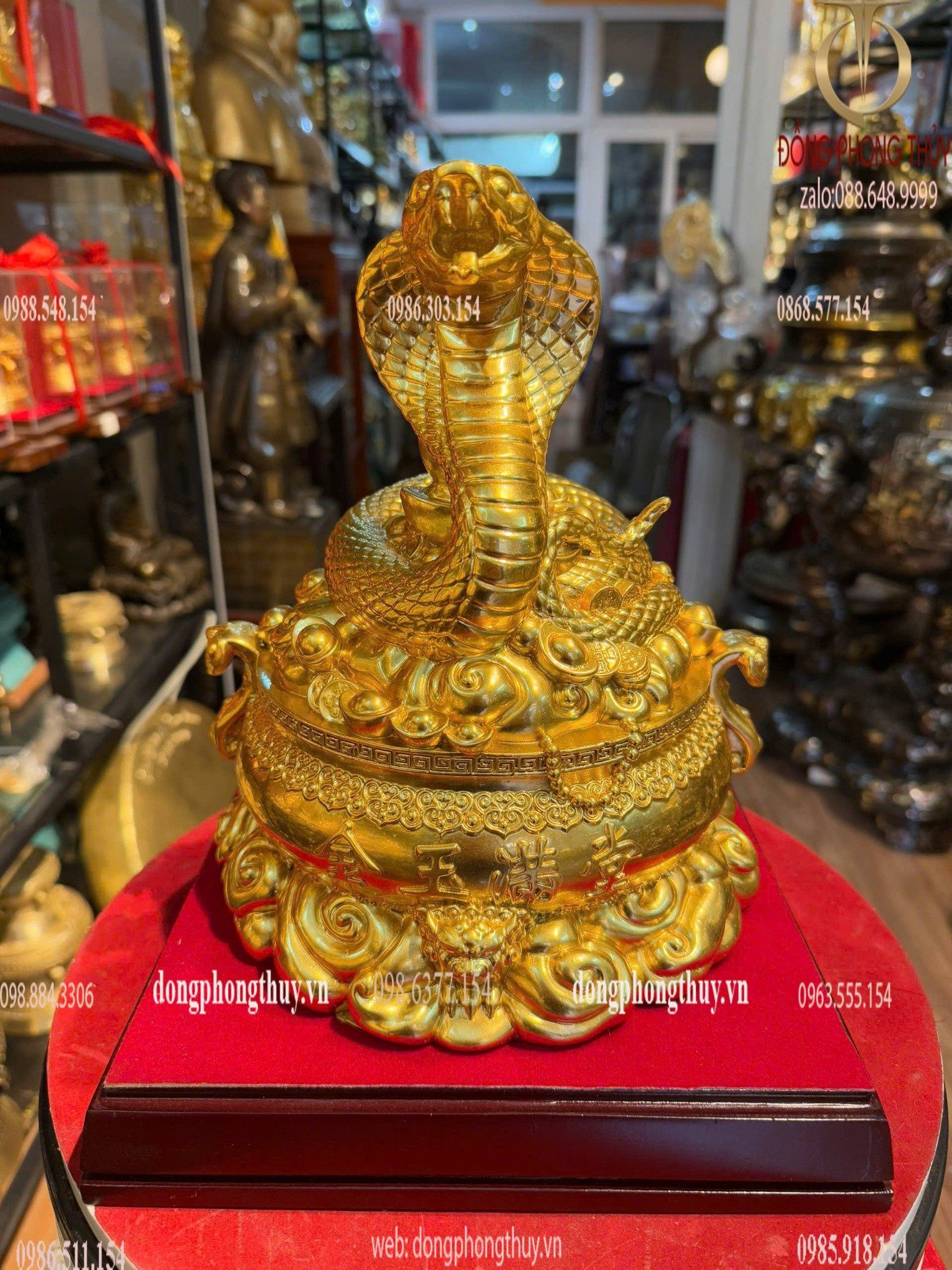 Hình ảnh sản phẩm