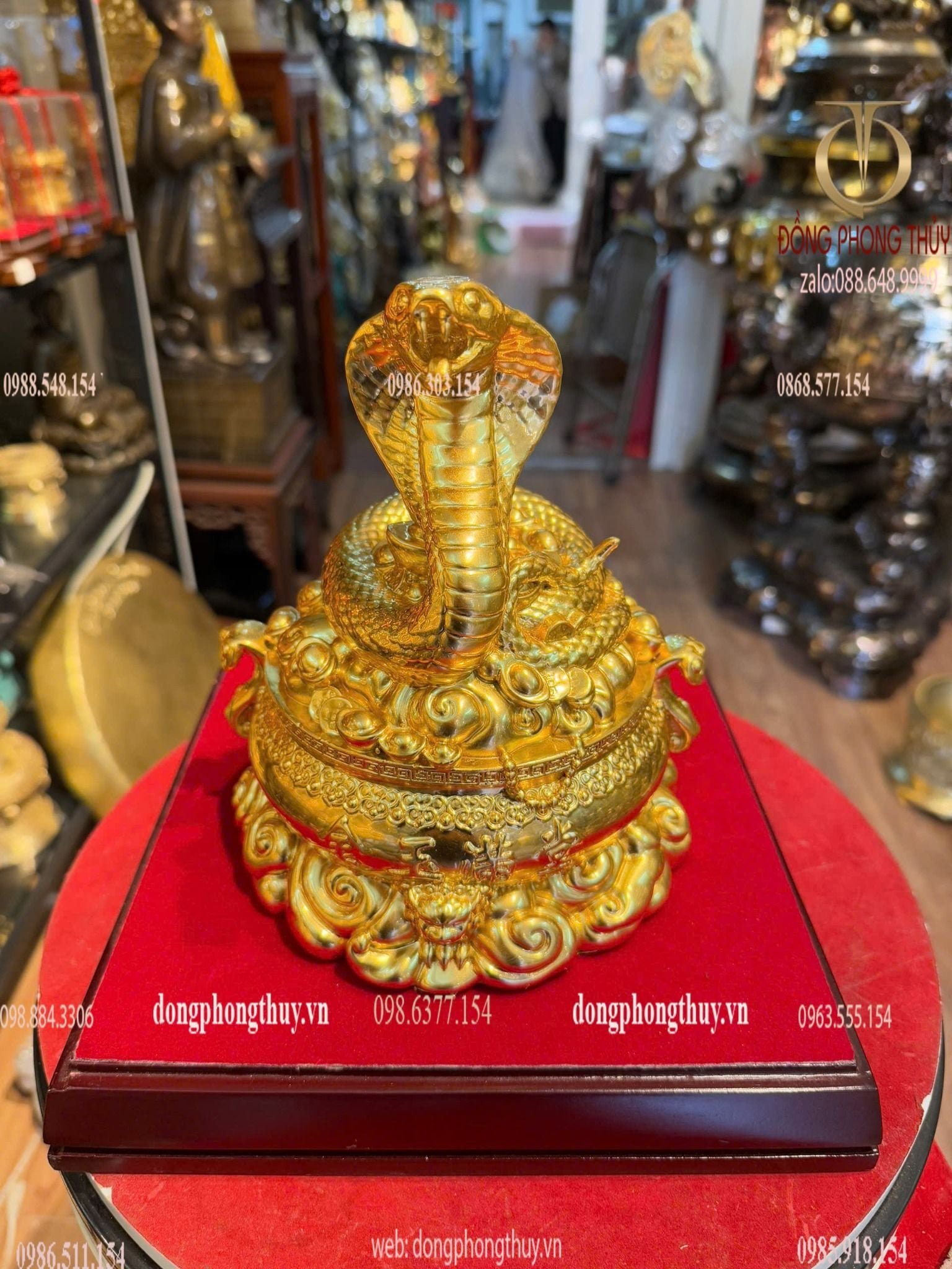 Hình ảnh sản phẩm